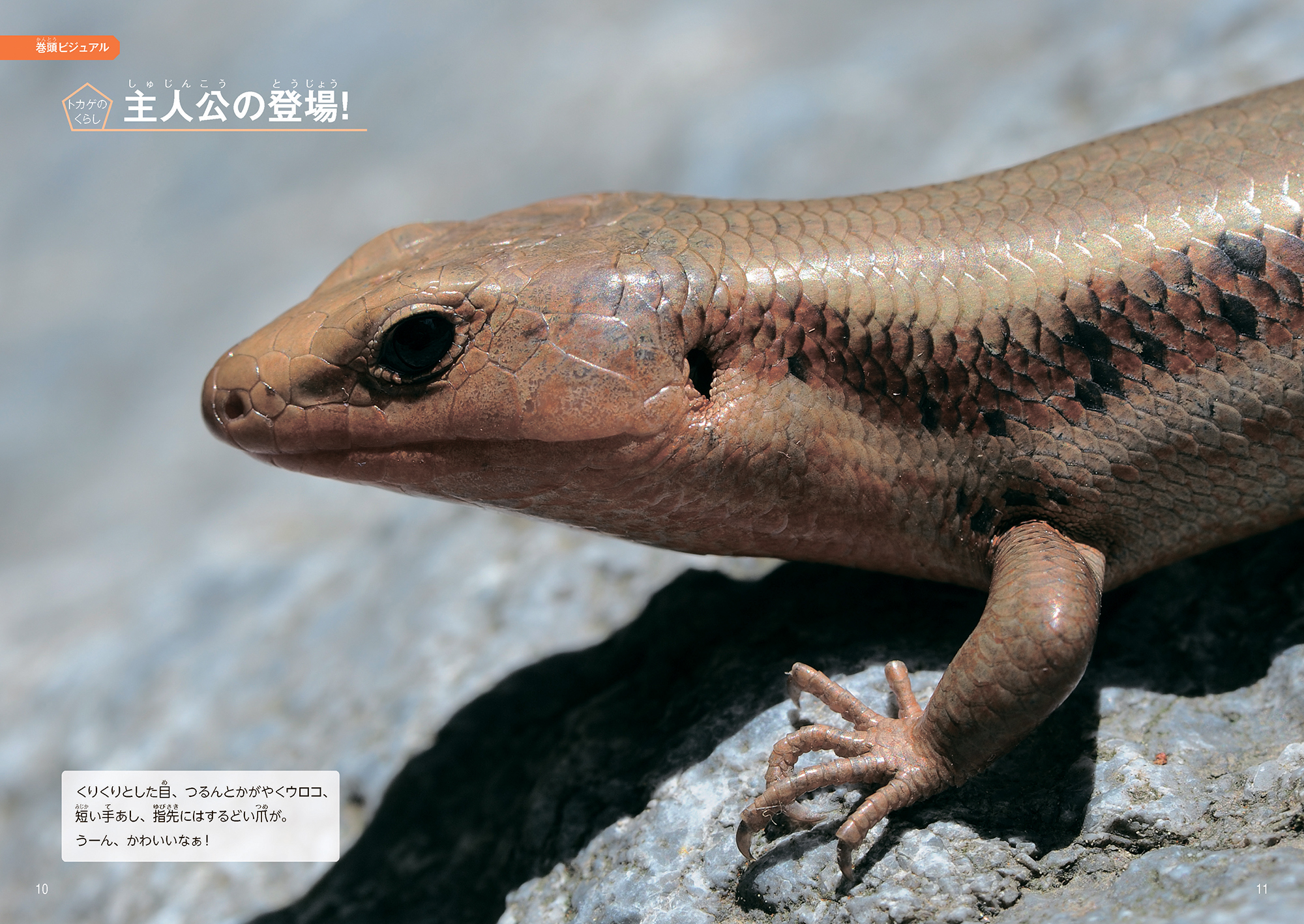 サムネイル画像2