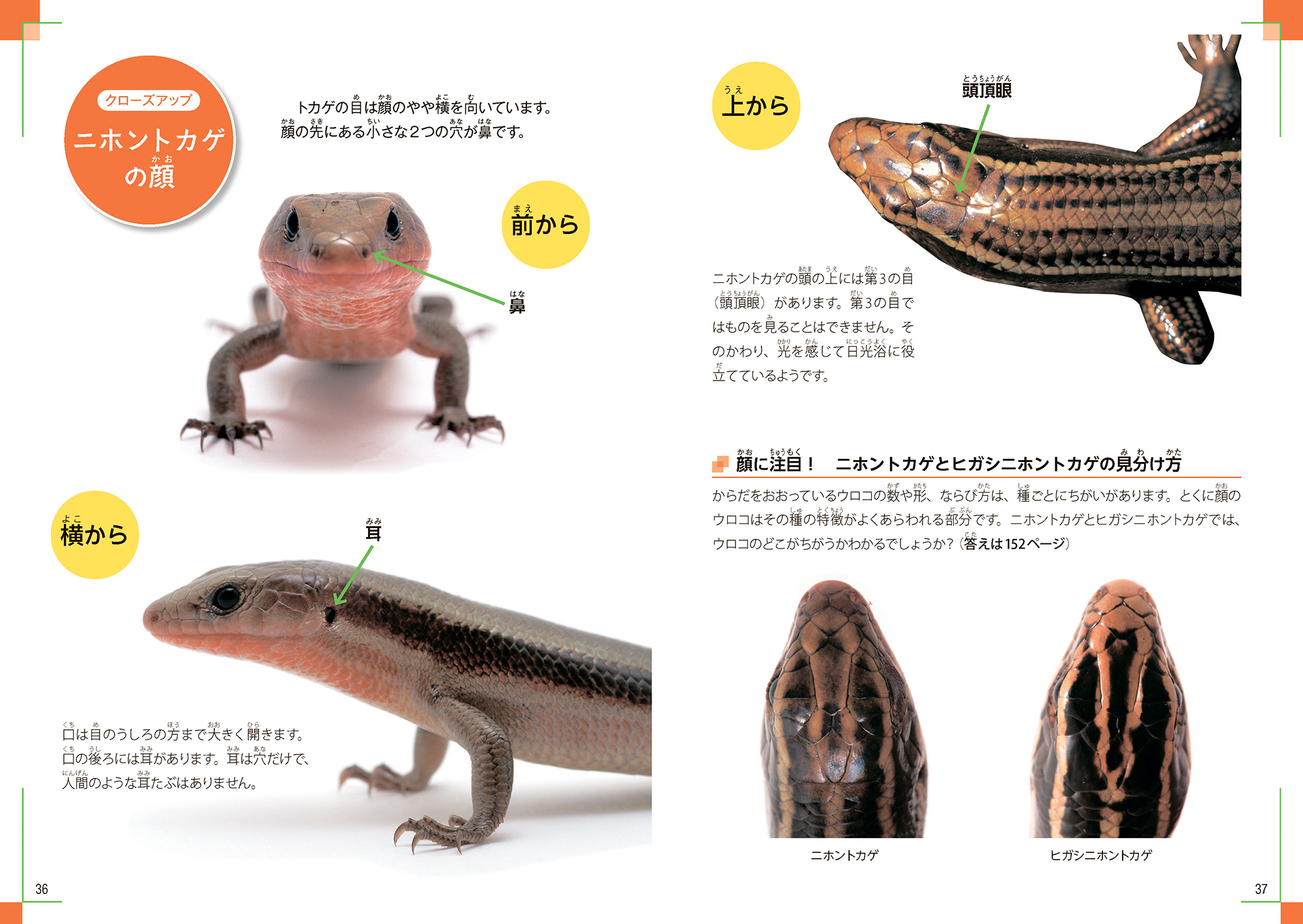 サムネイル画像3