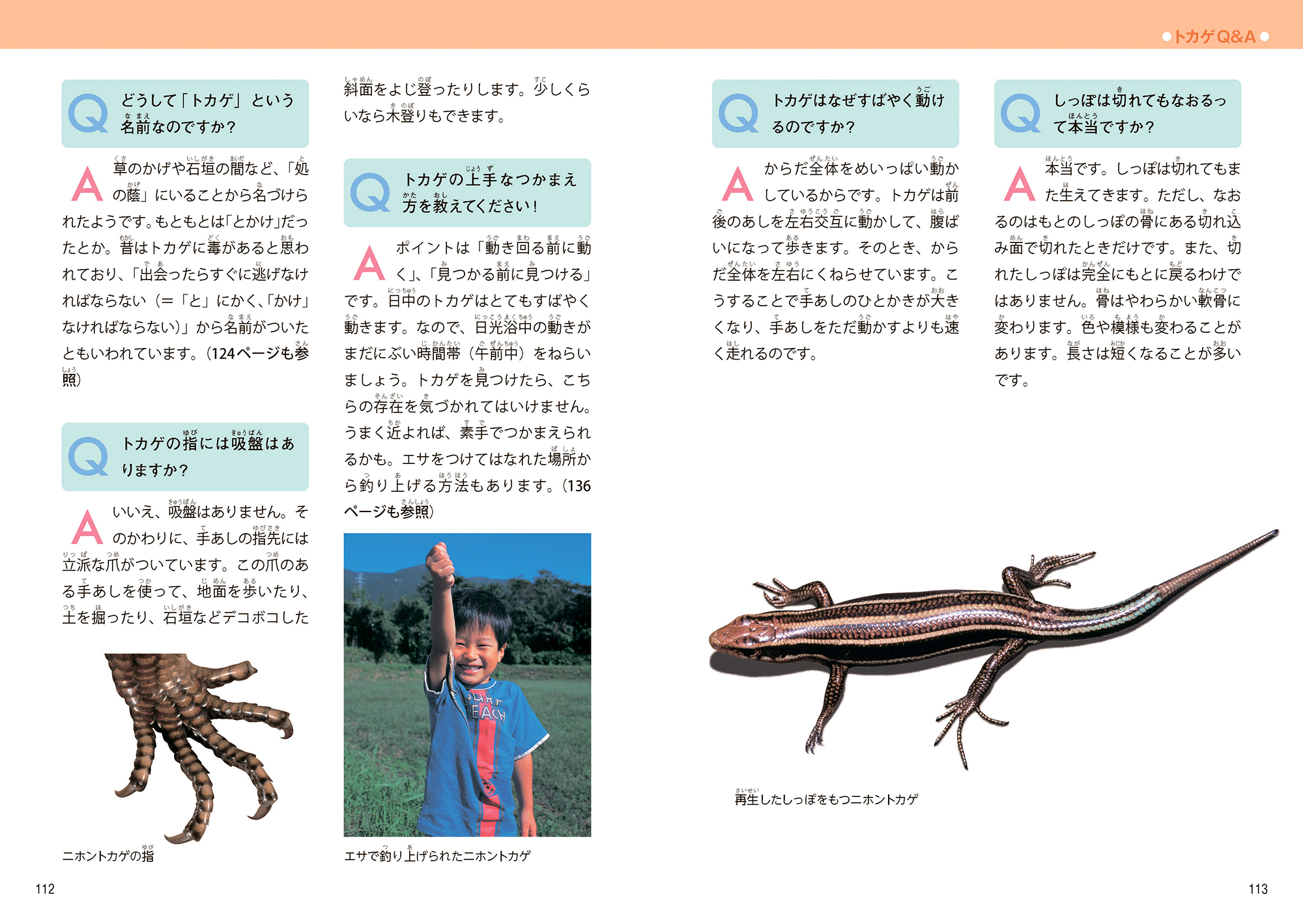 サムネイル画像5
