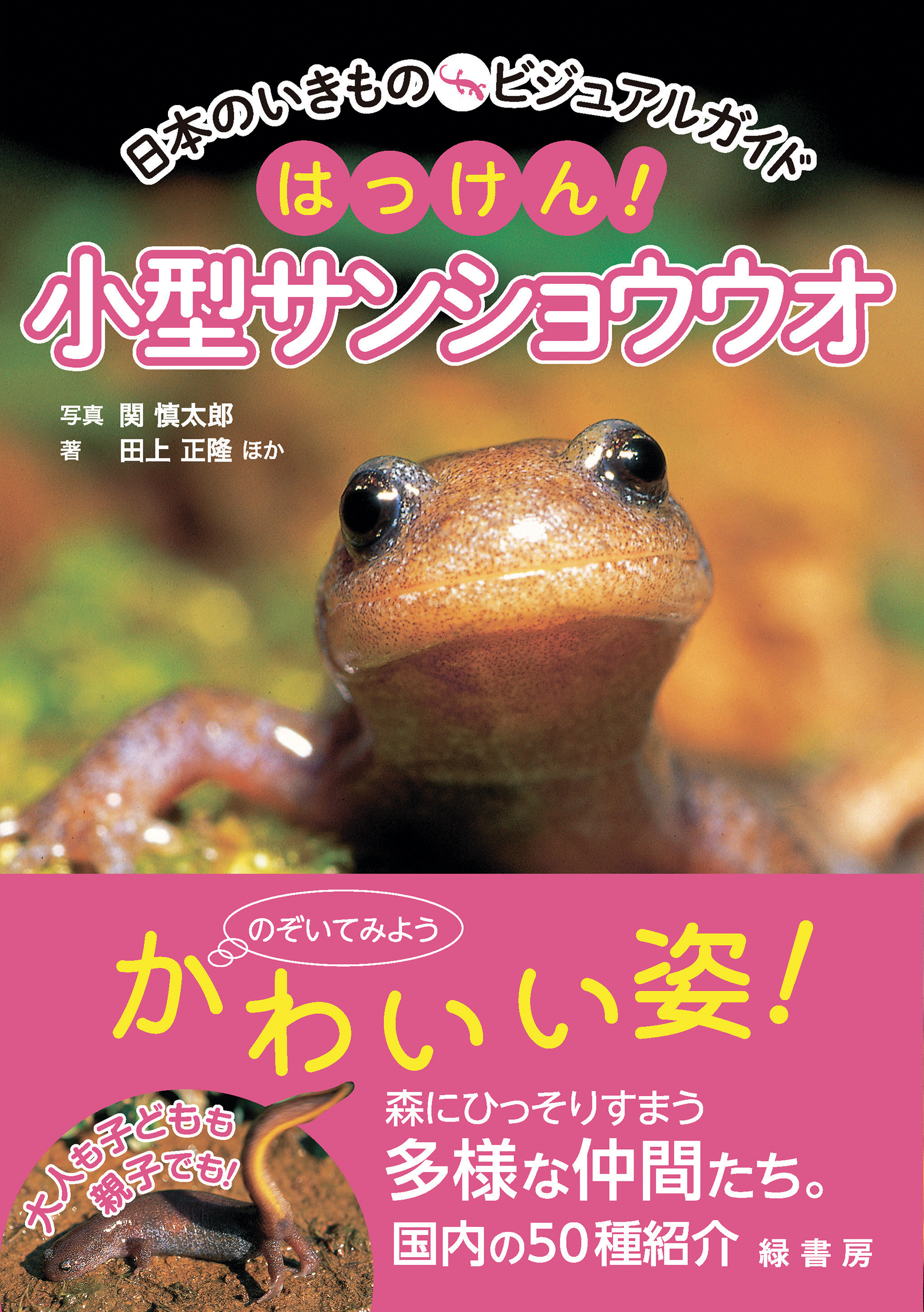 サムネイル画像1