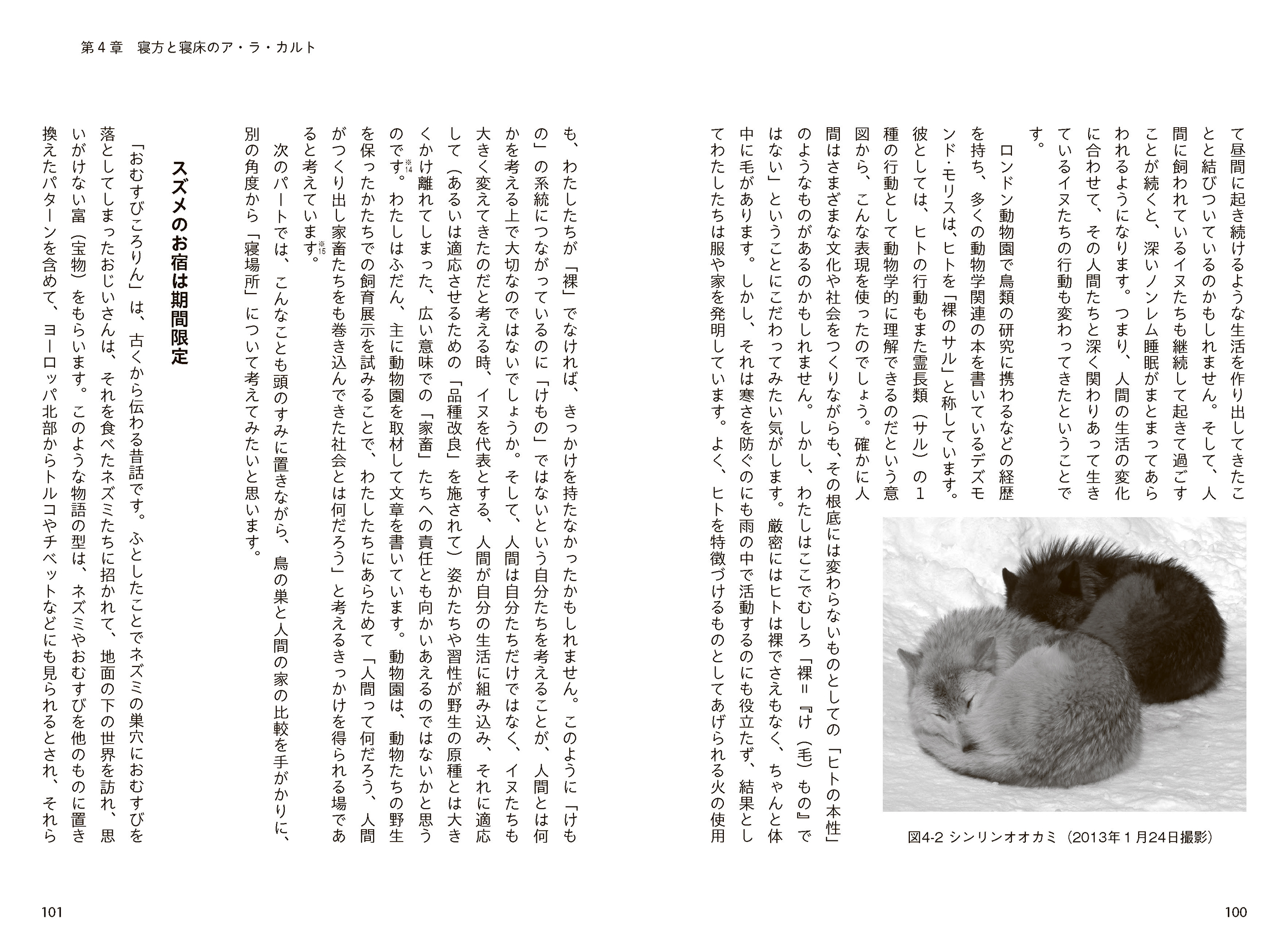 サムネイル画像4