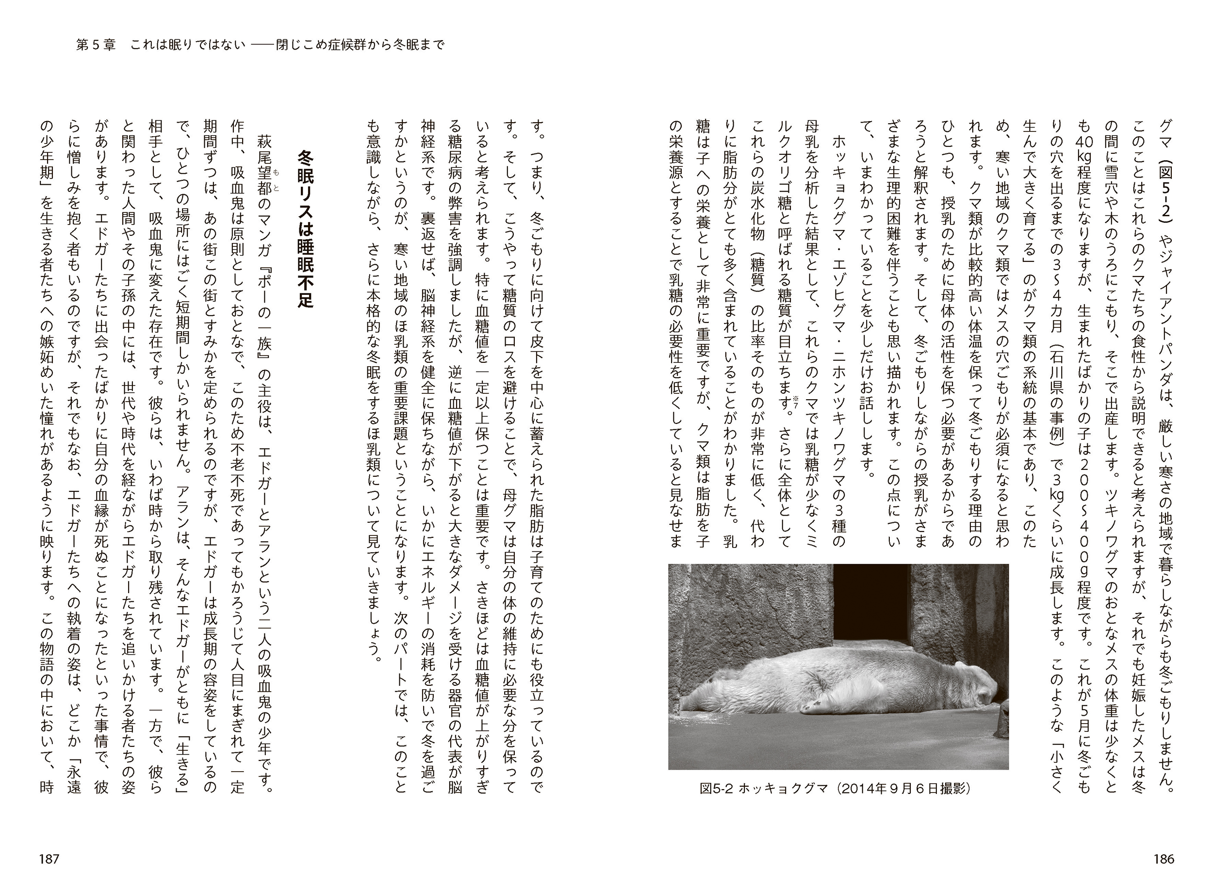 サムネイル画像5