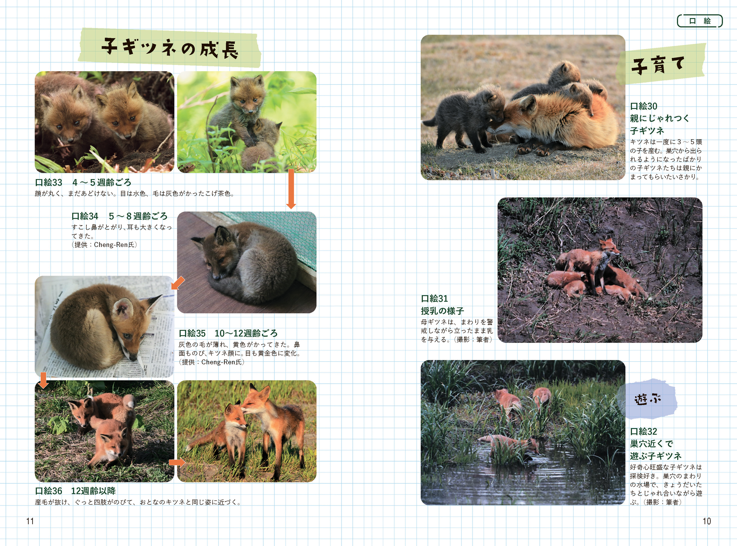 サムネイル画像2