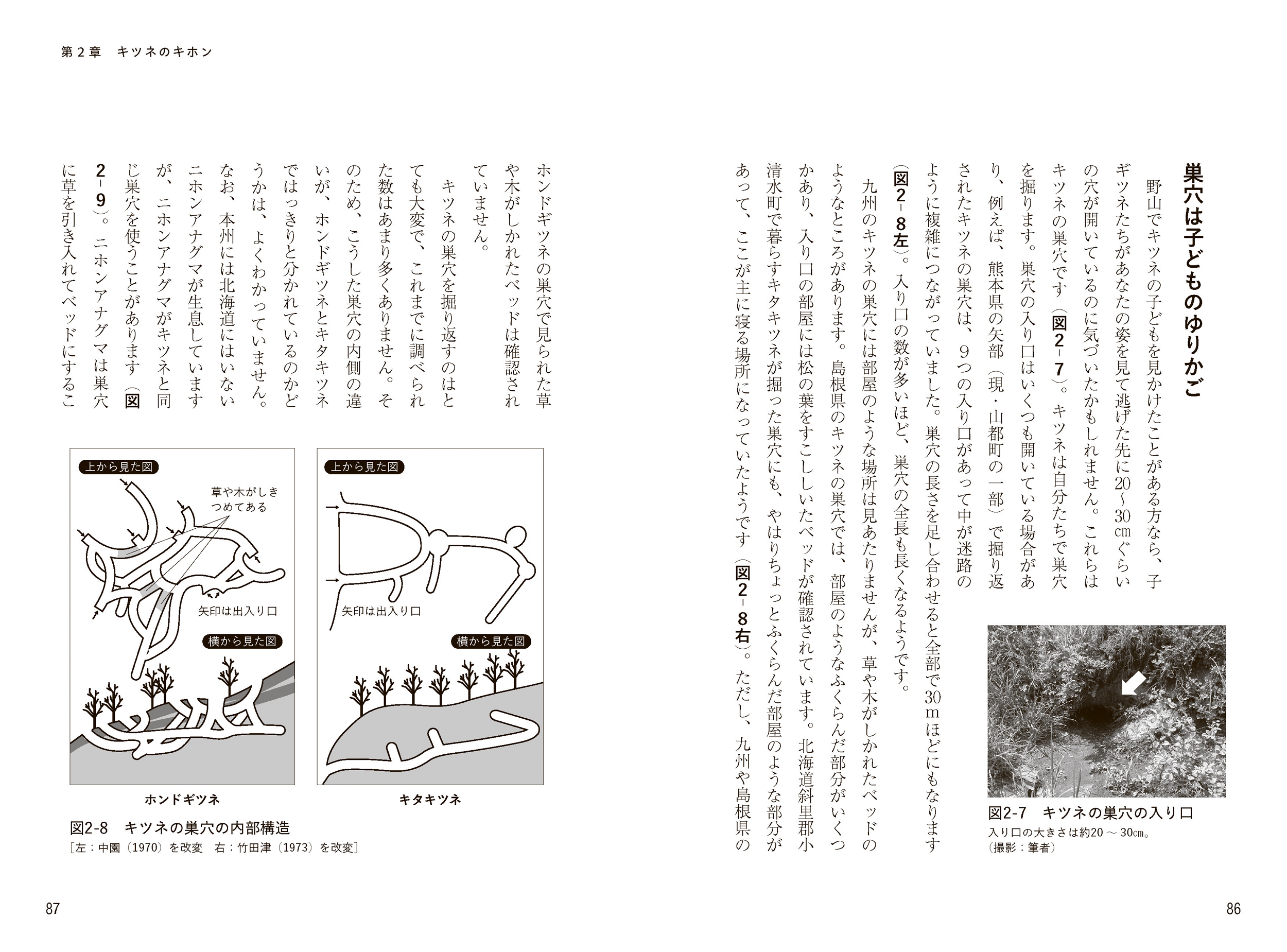 サムネイル画像4