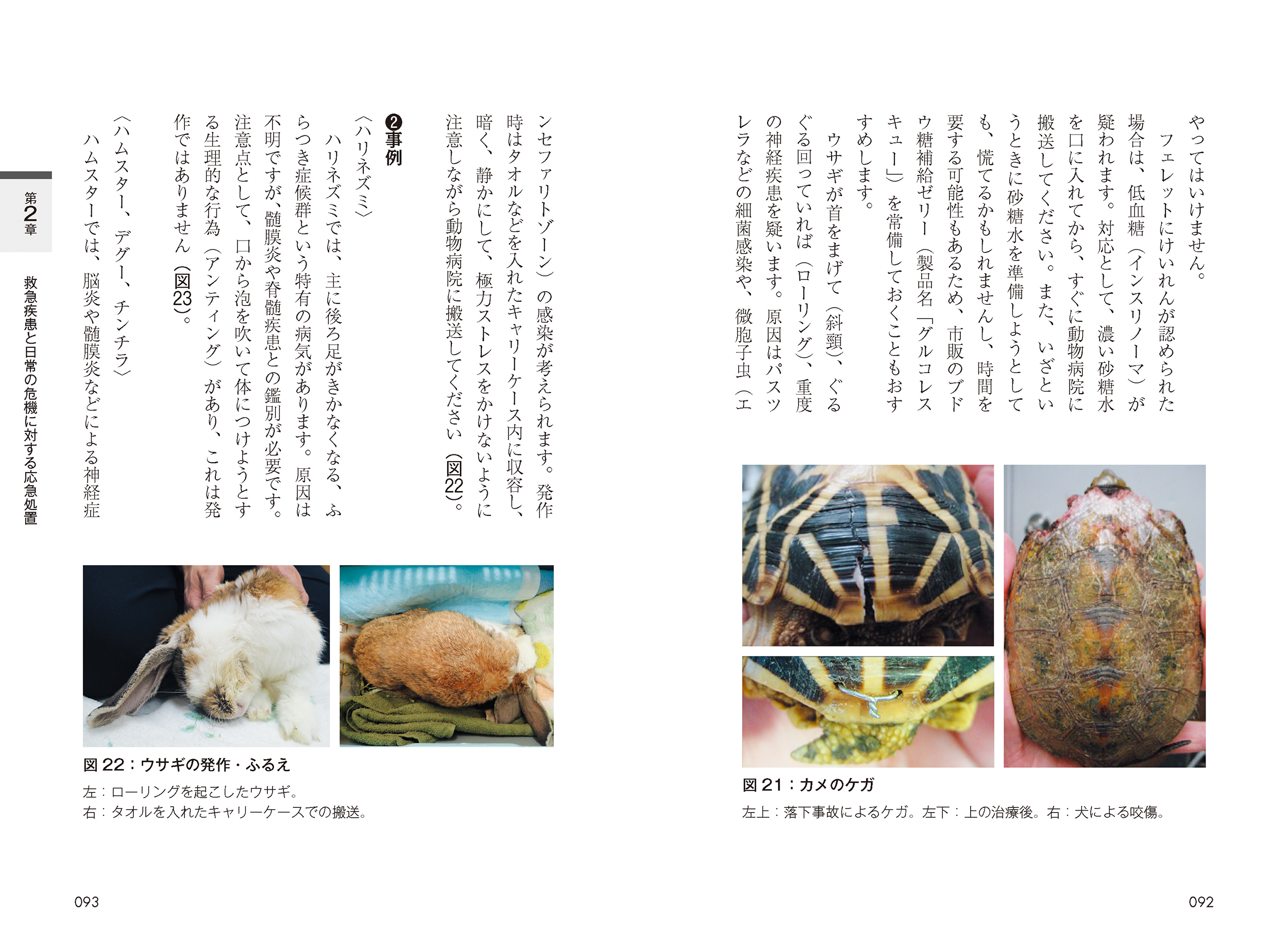 サムネイル画像3