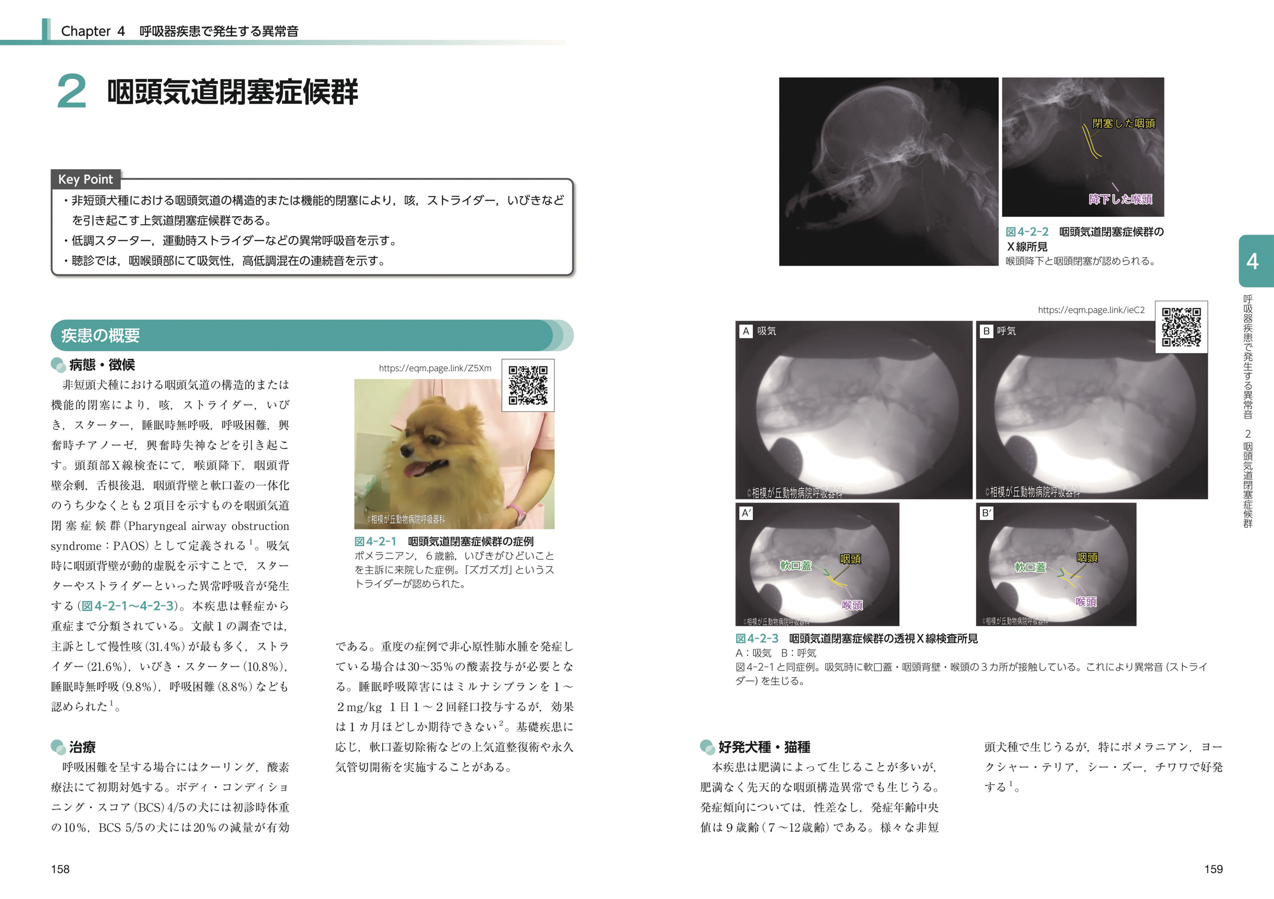 サムネイル画像5