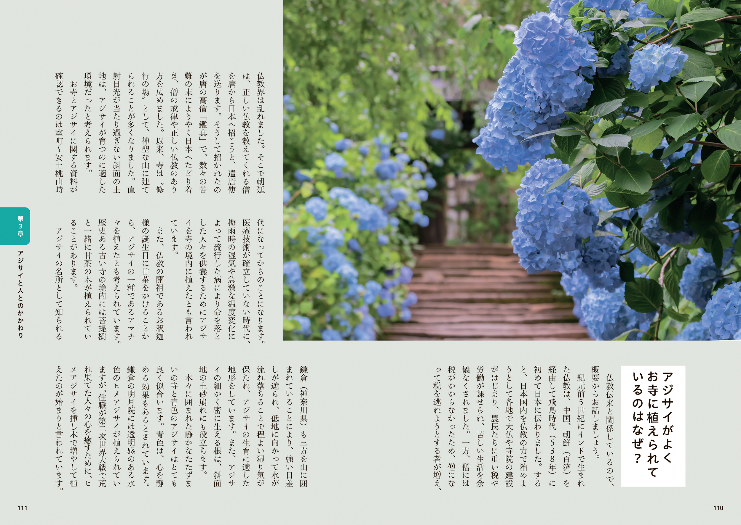サムネイル画像4