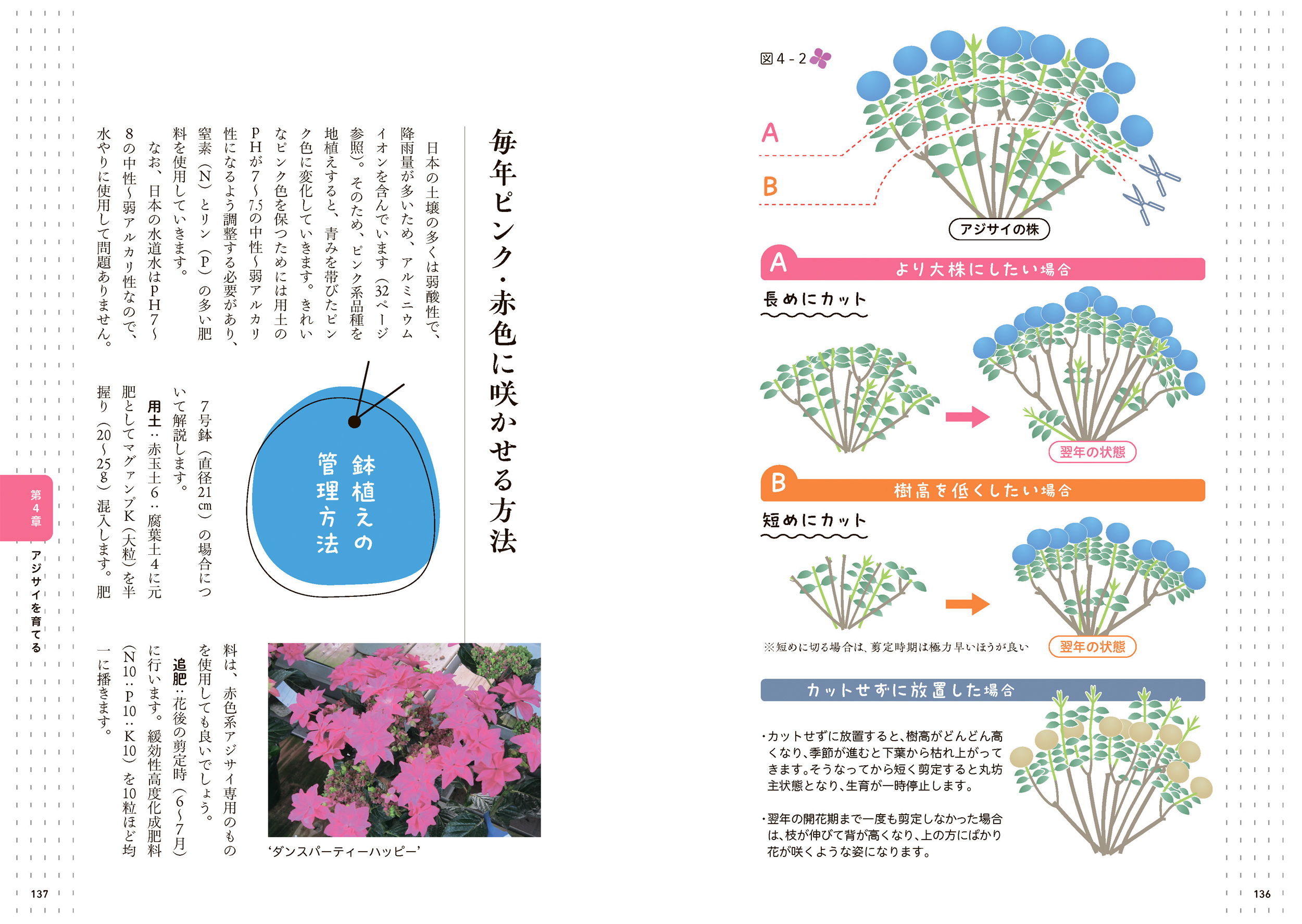 サムネイル画像5