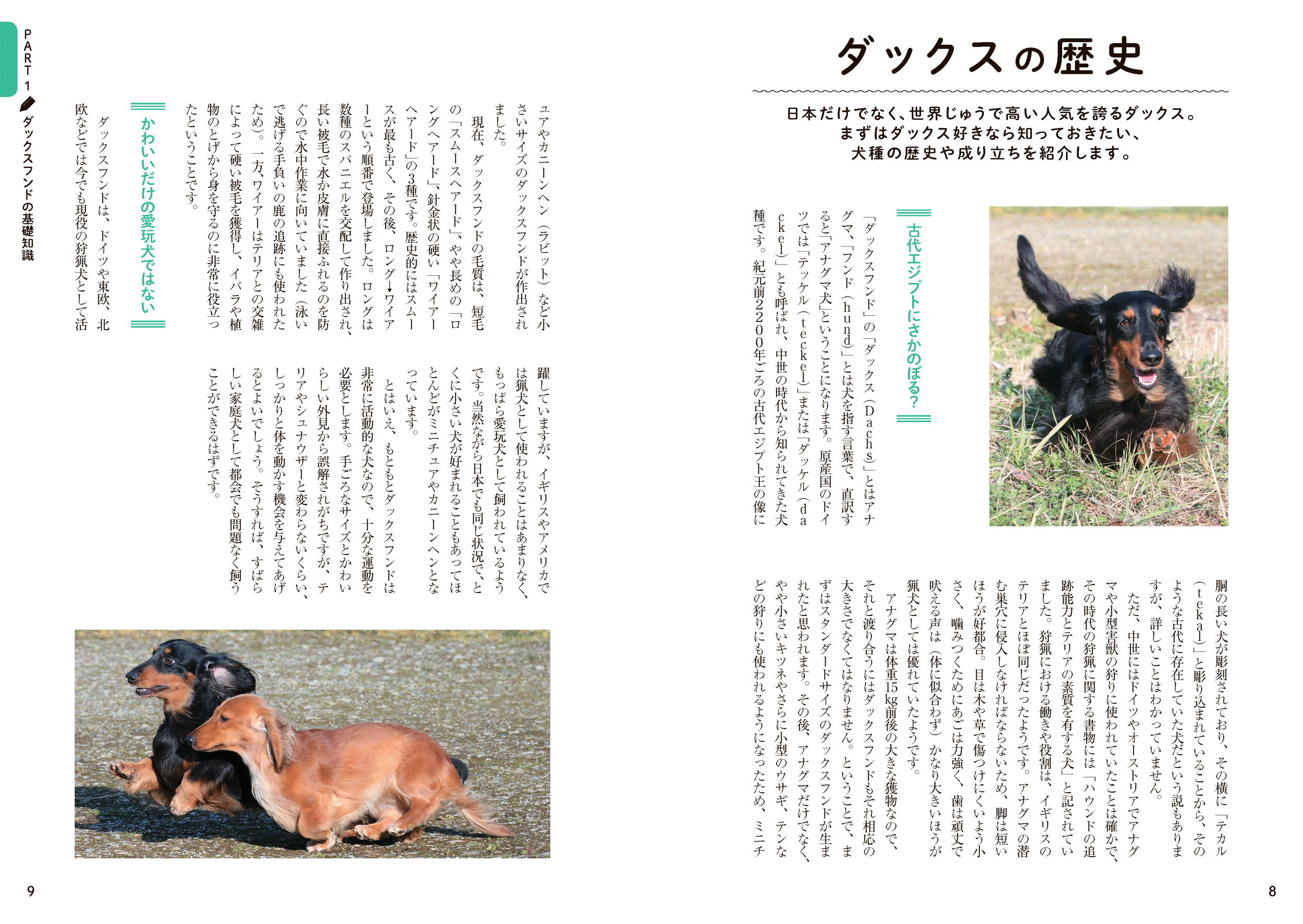 サムネイル画像2