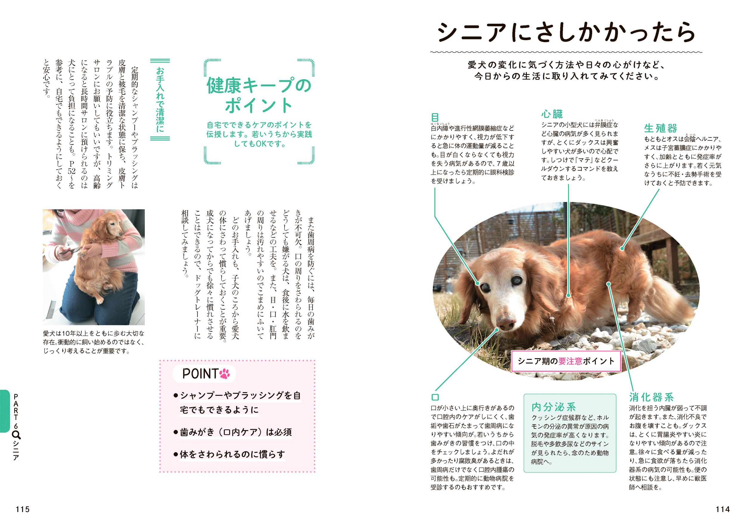 サムネイル画像5