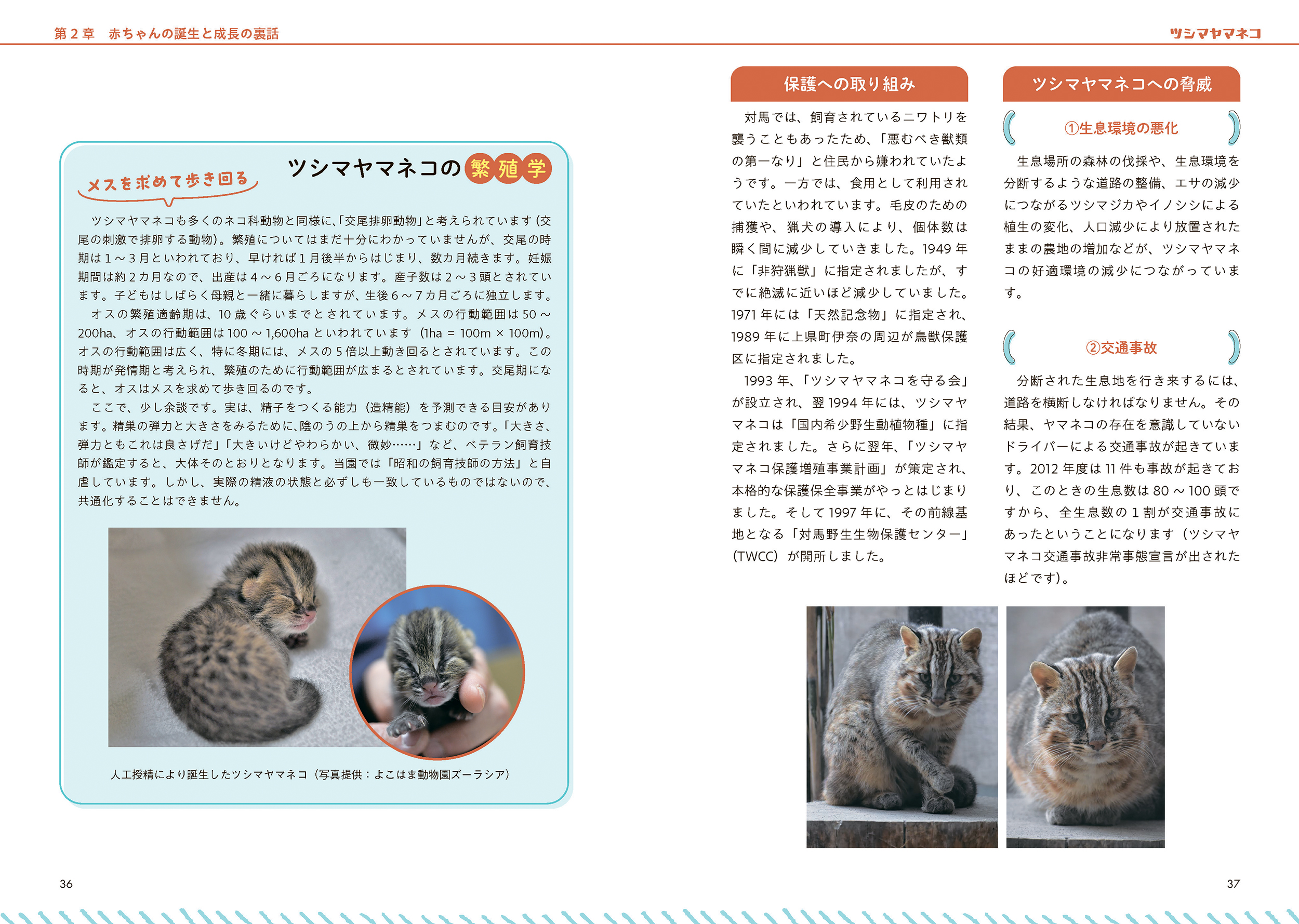 サムネイル画像3