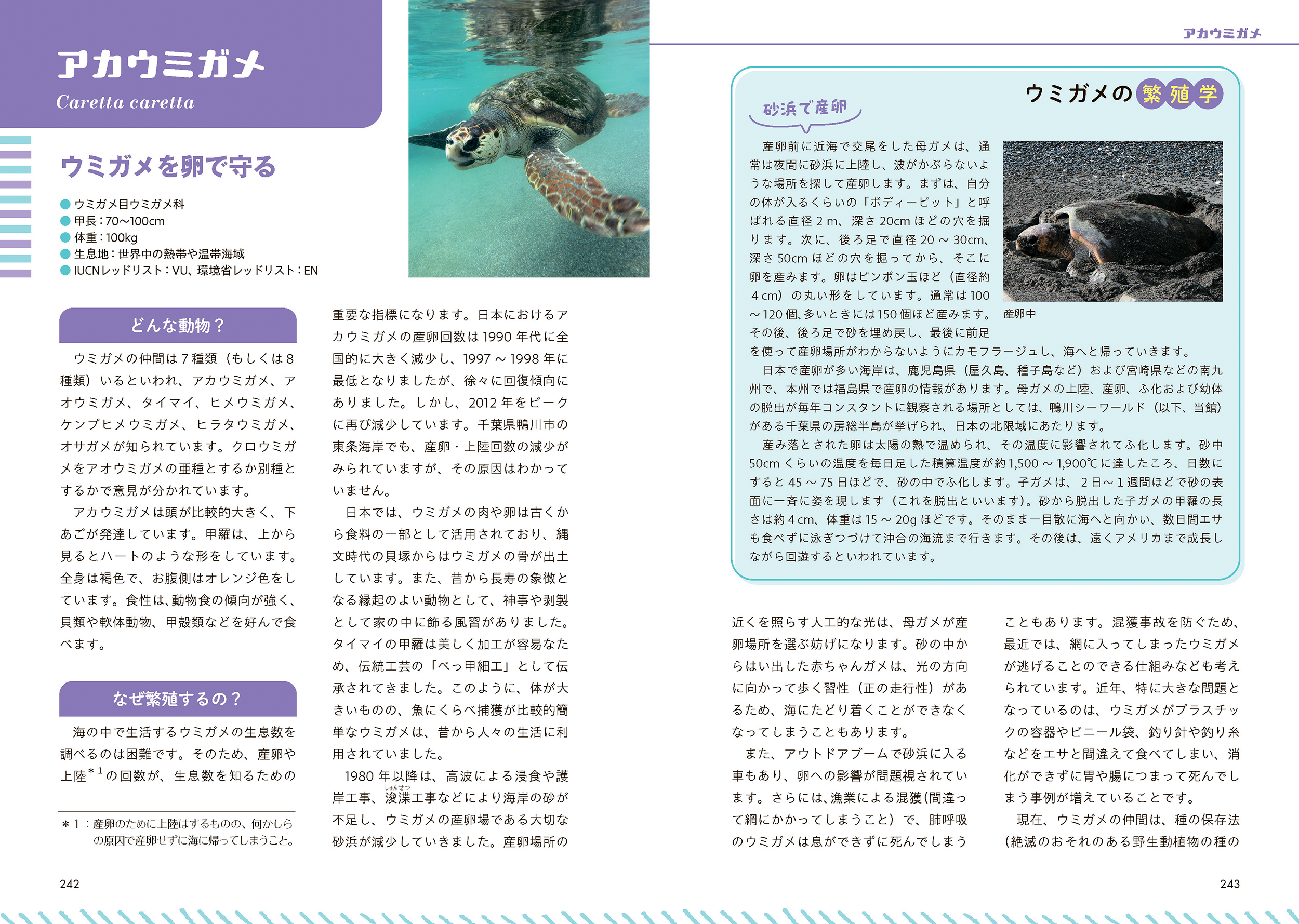 サムネイル画像5