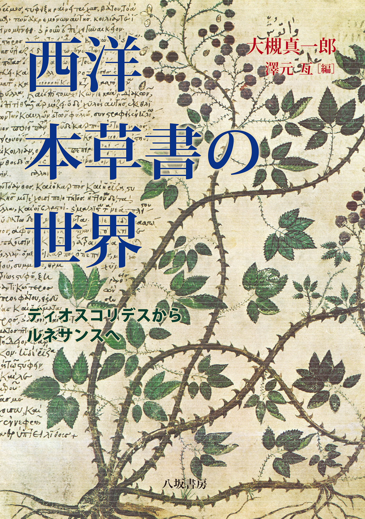 メイン画像