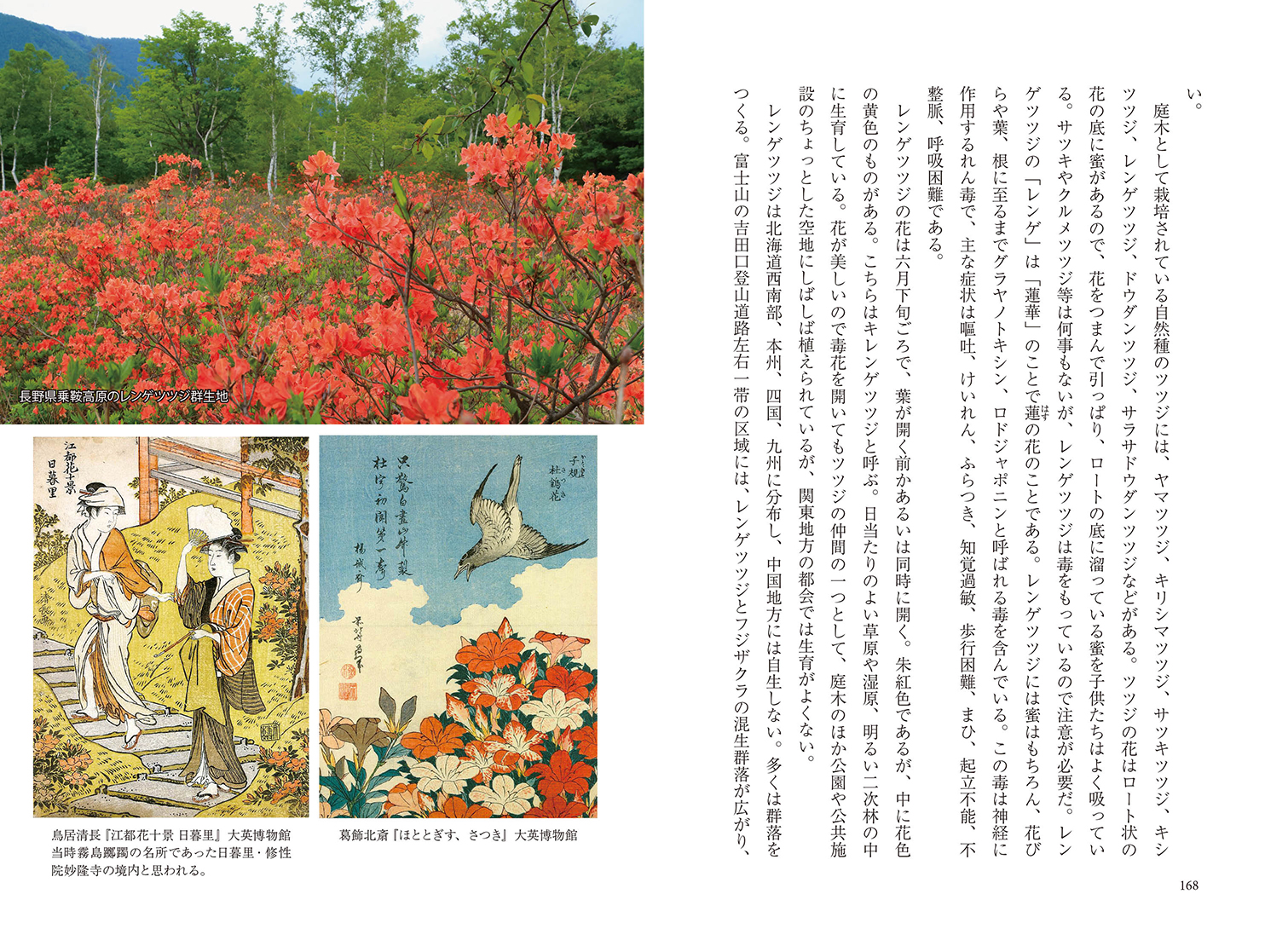 サムネイル画像2