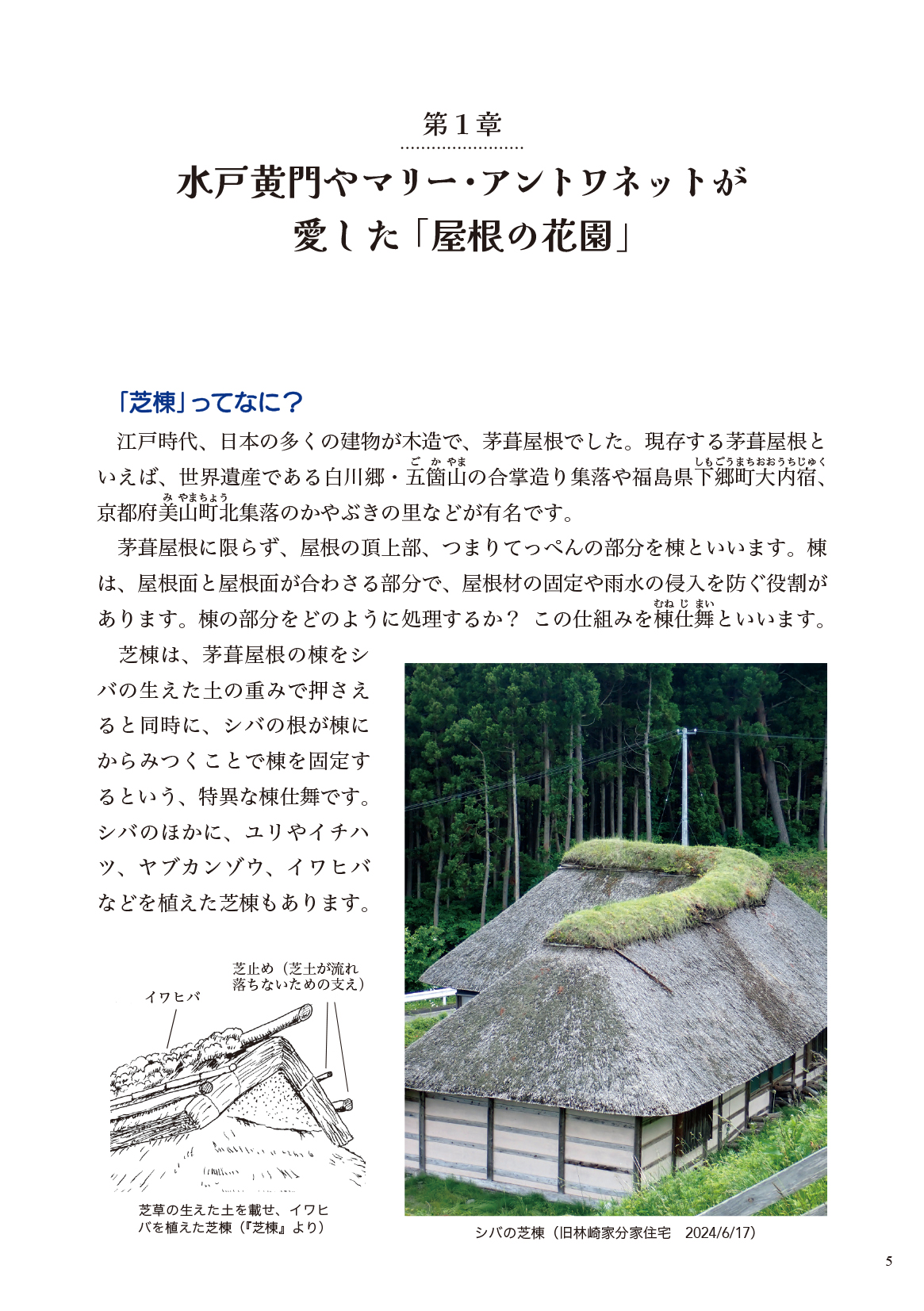 サムネイル画像1