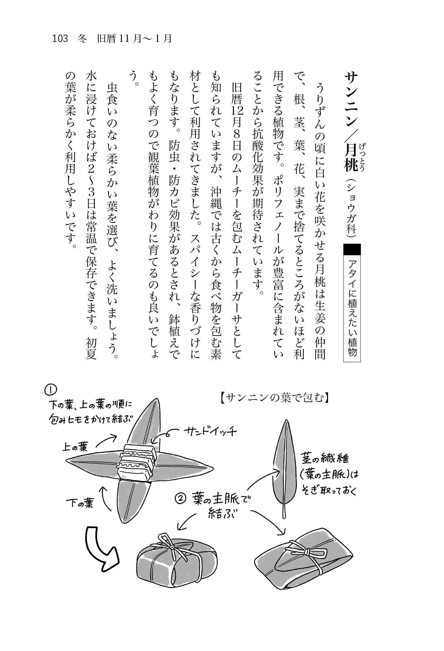 サムネイル画像3