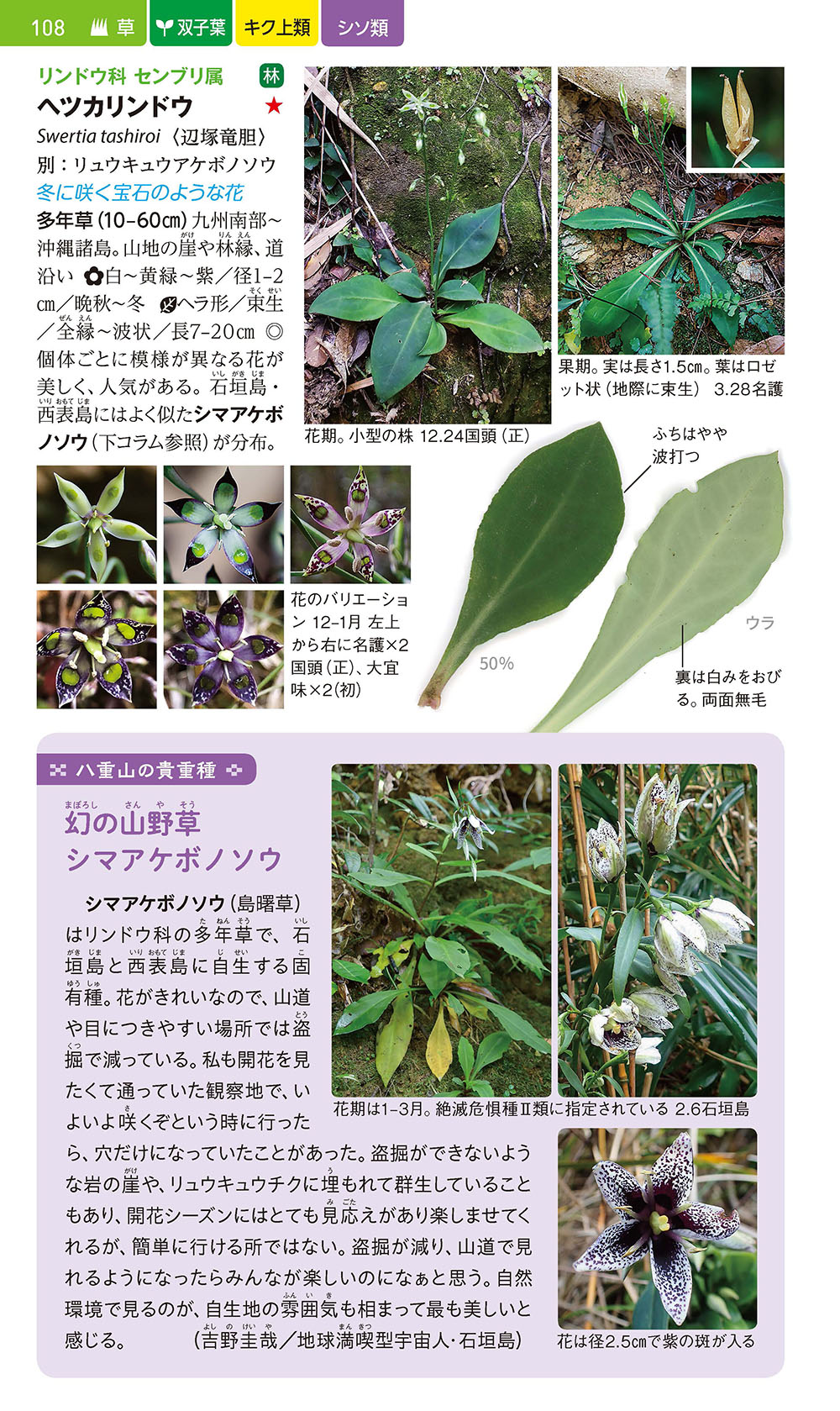 サムネイル画像2