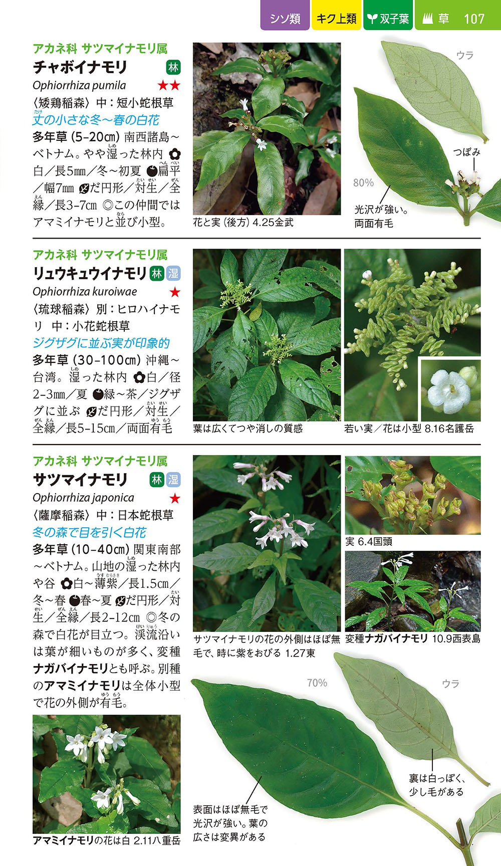 サムネイル画像3
