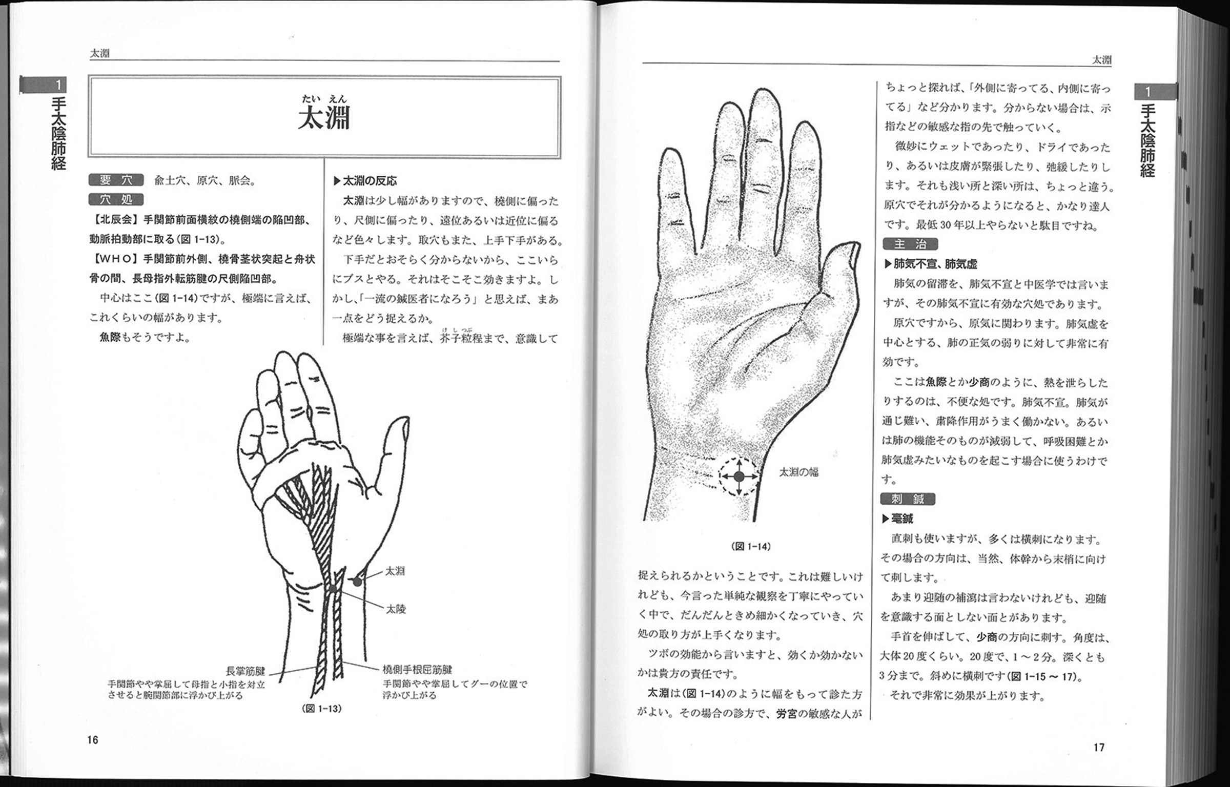 サムネイル画像1