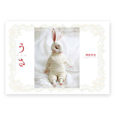 メイン画像