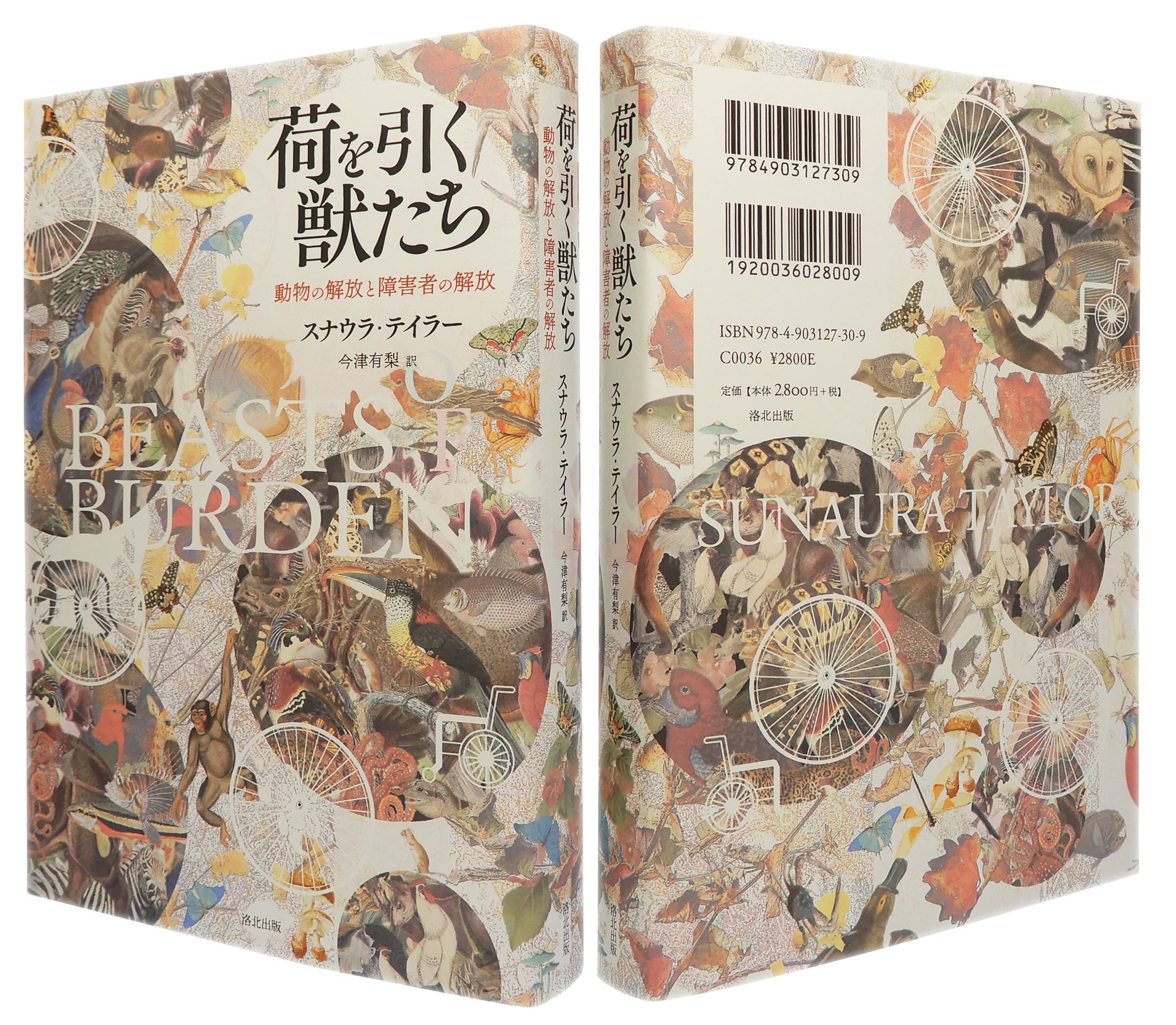 サムネイル画像1