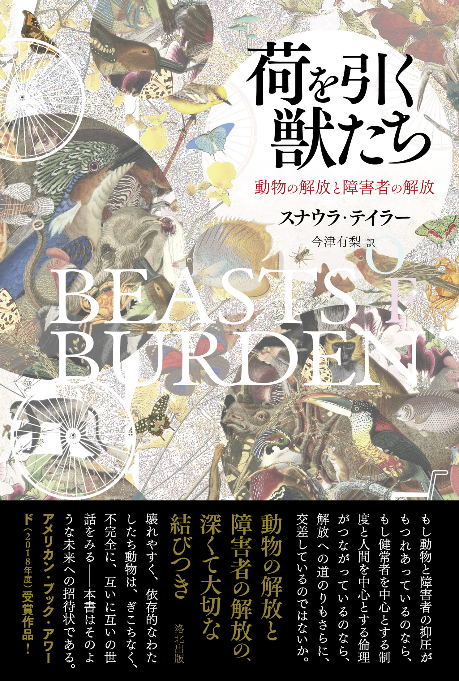 サムネイル画像5