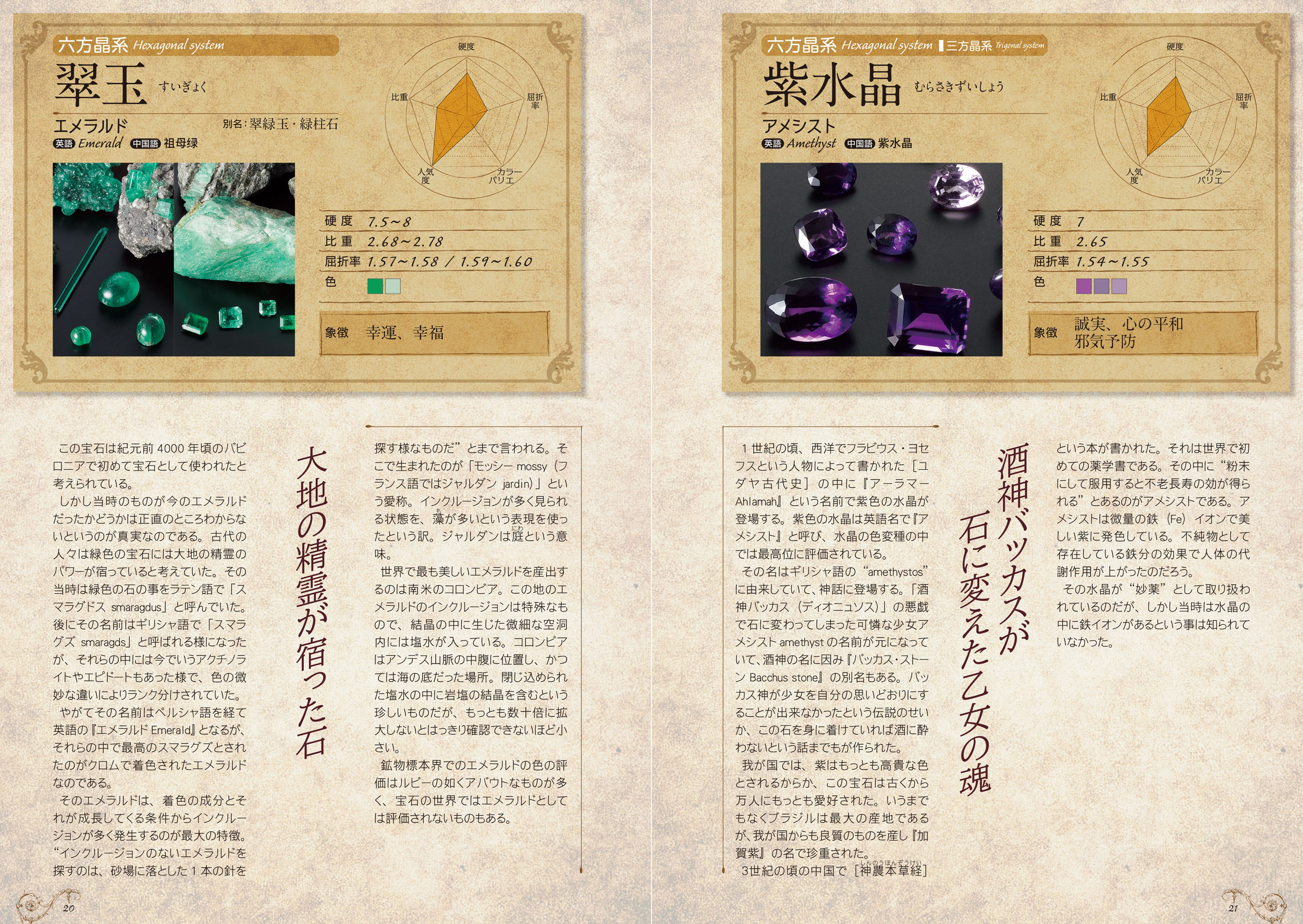サムネイル画像5