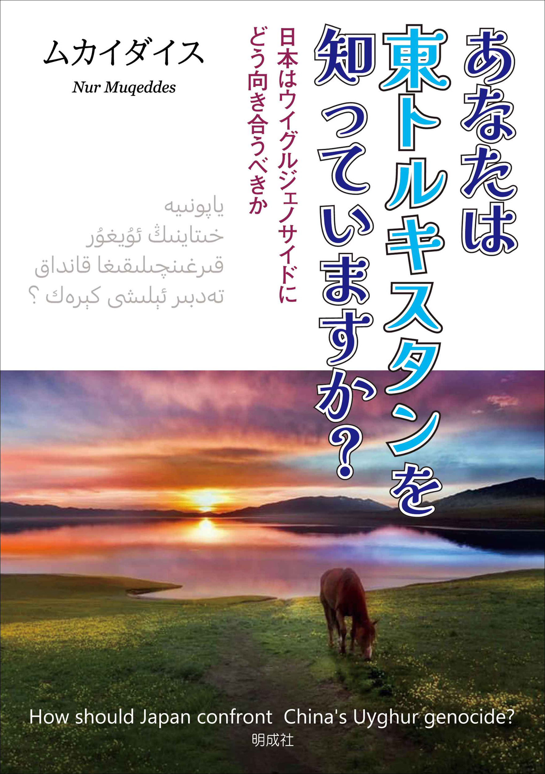 メイン画像