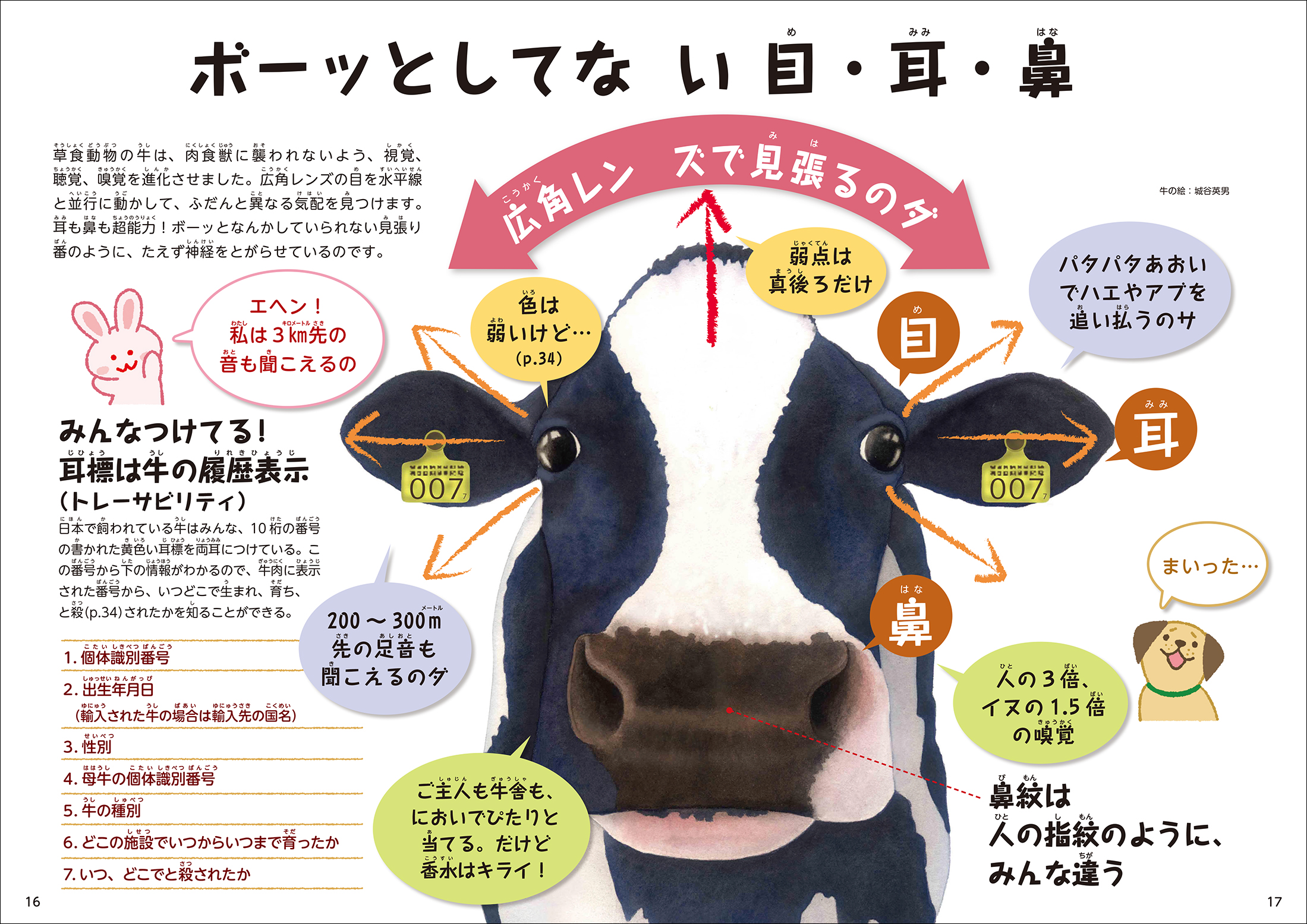 サムネイル画像5