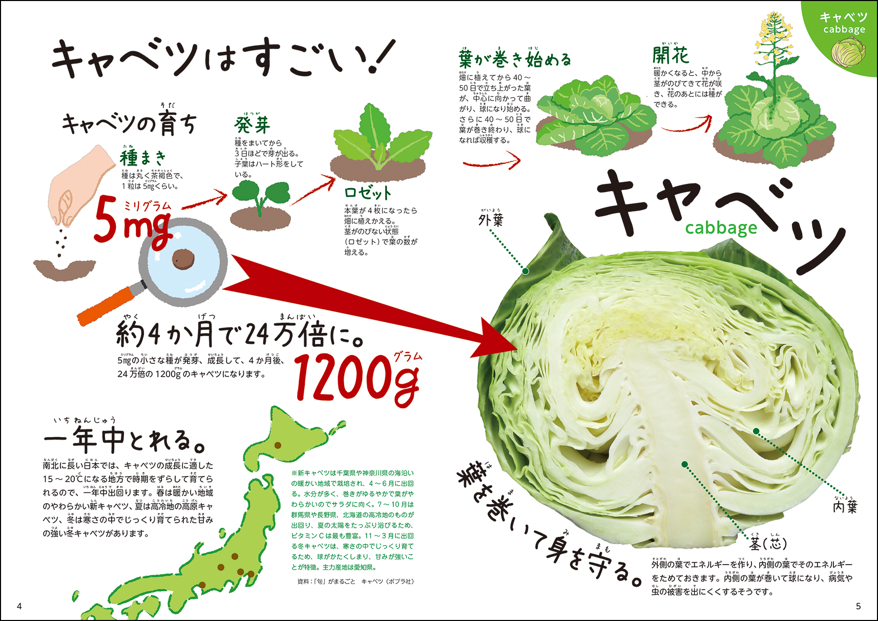サムネイル画像1