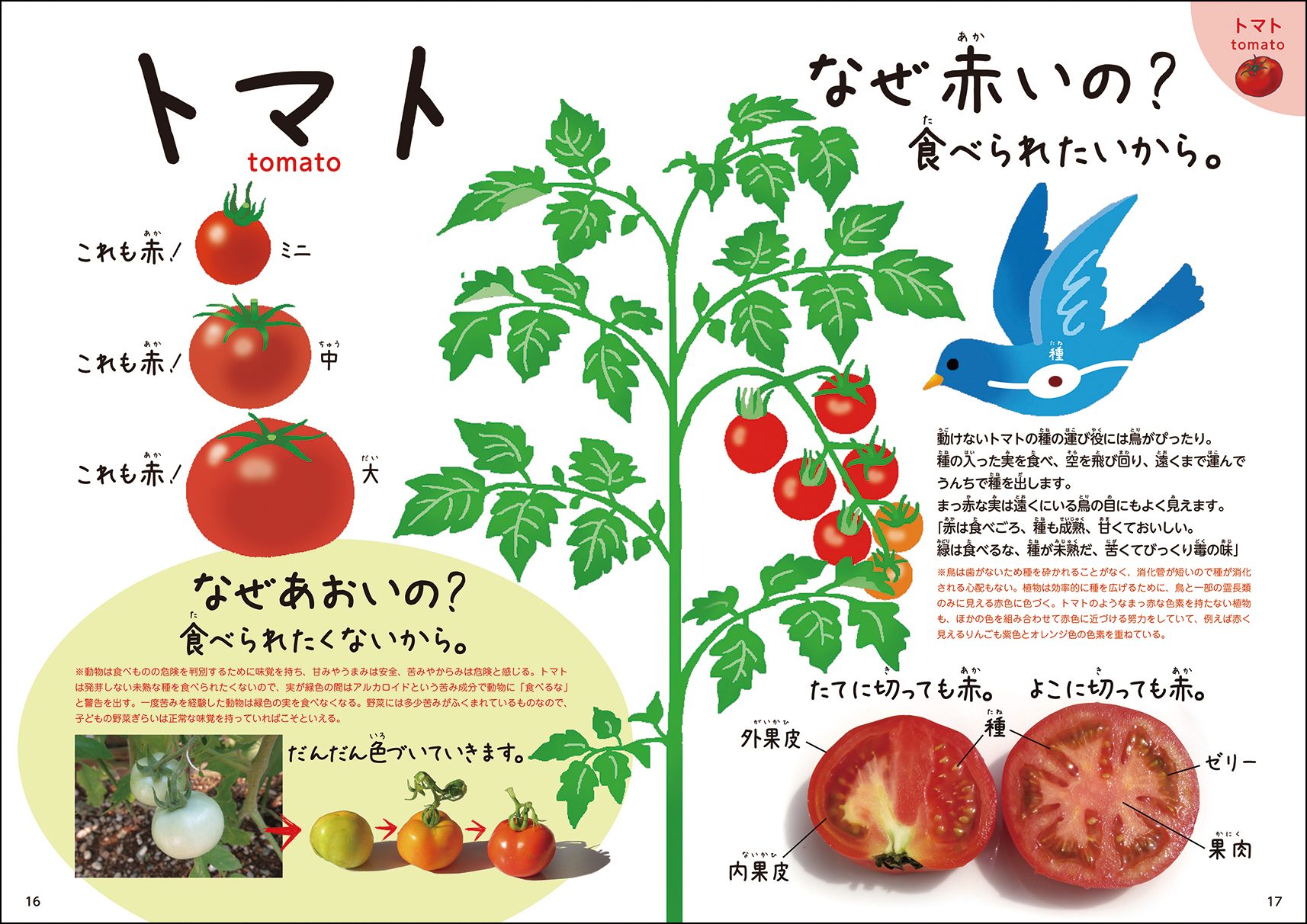 サムネイル画像3