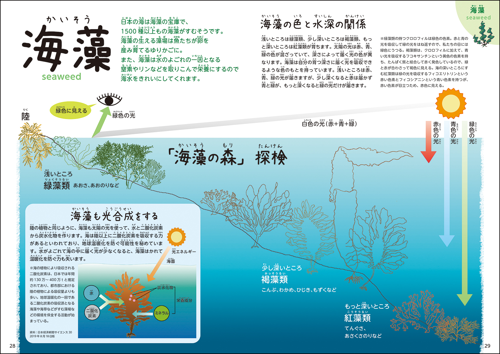 サムネイル画像4