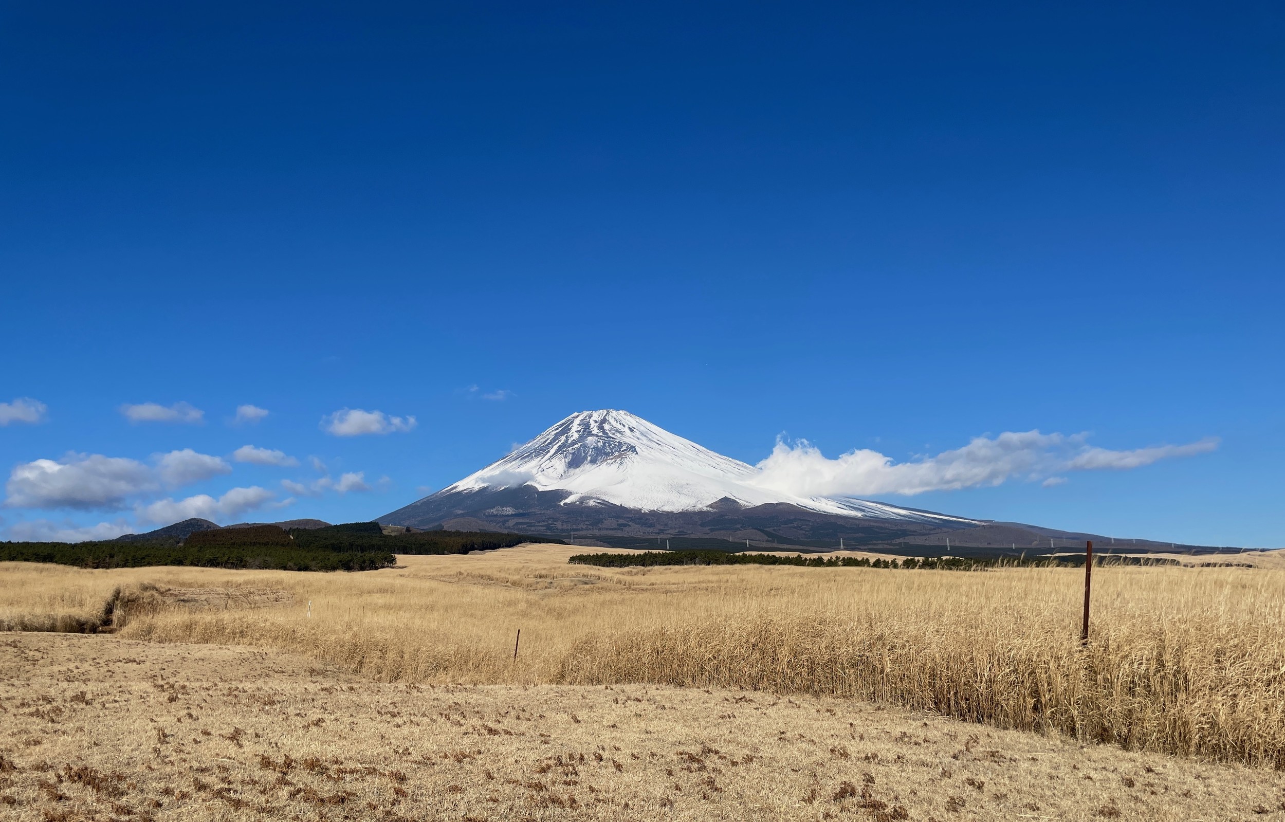 サムネイル画像5
