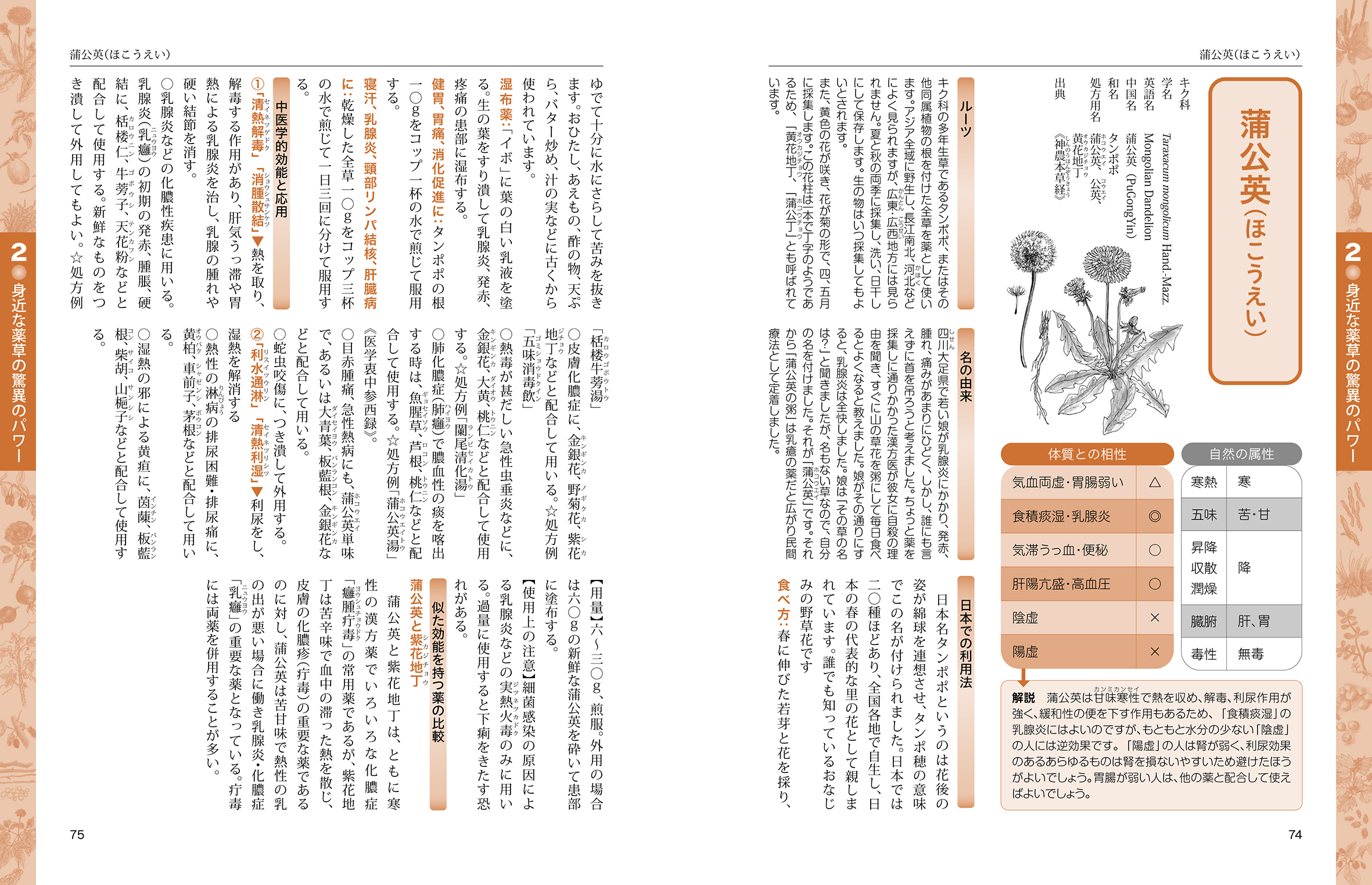 サムネイル画像3