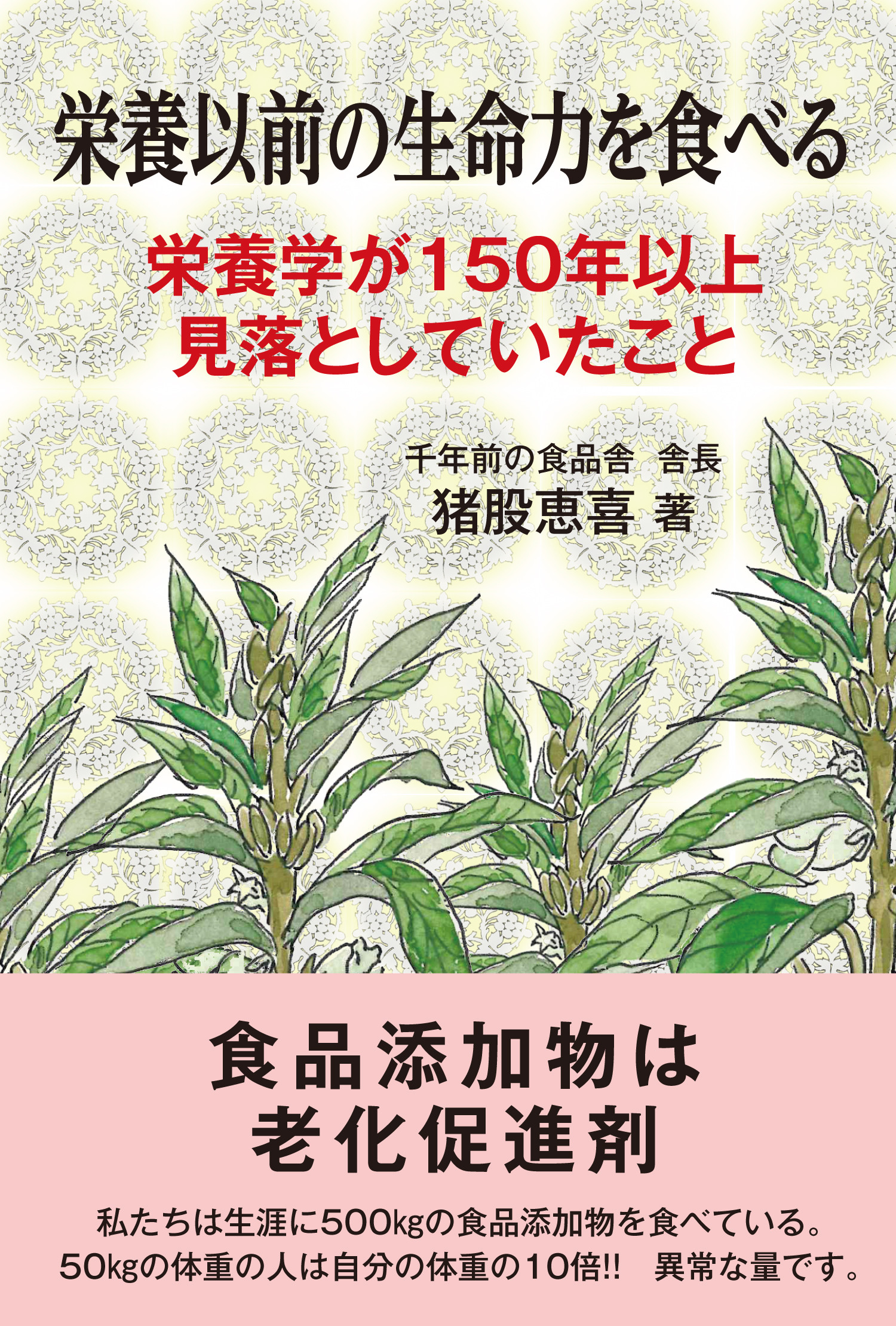 メイン画像