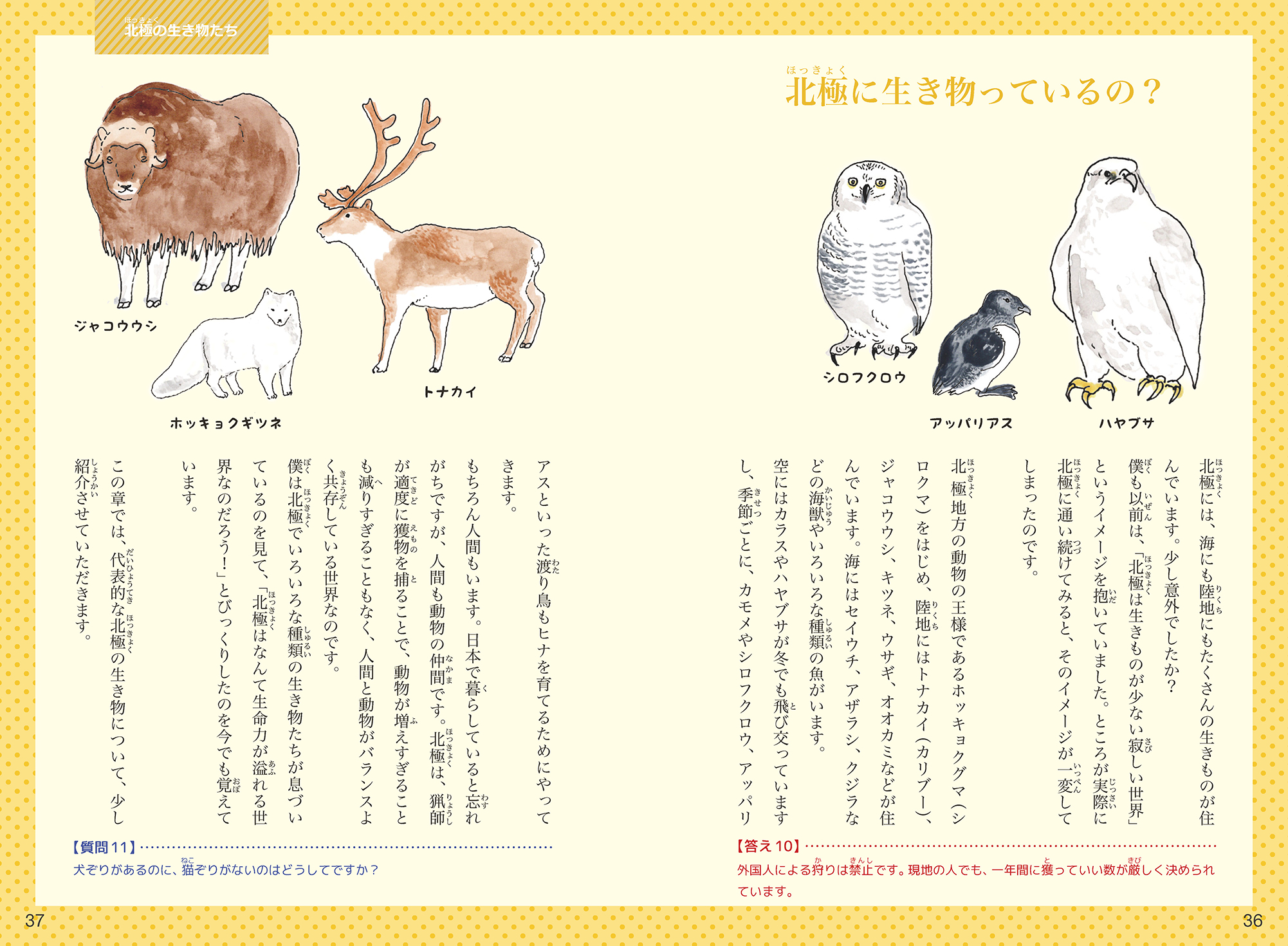 サムネイル画像3
