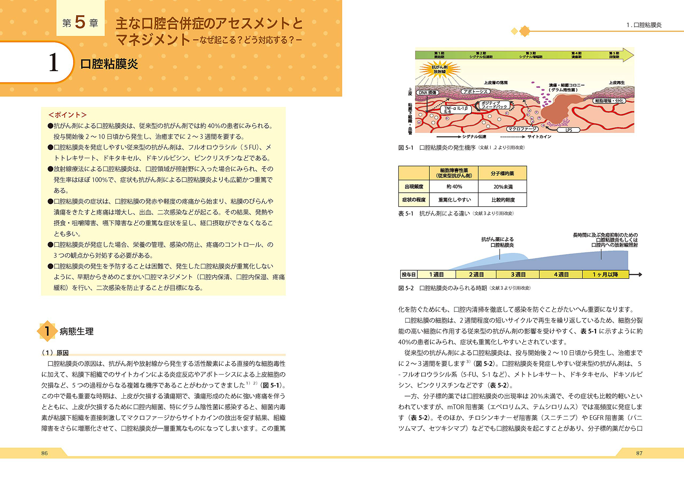 サムネイル画像5