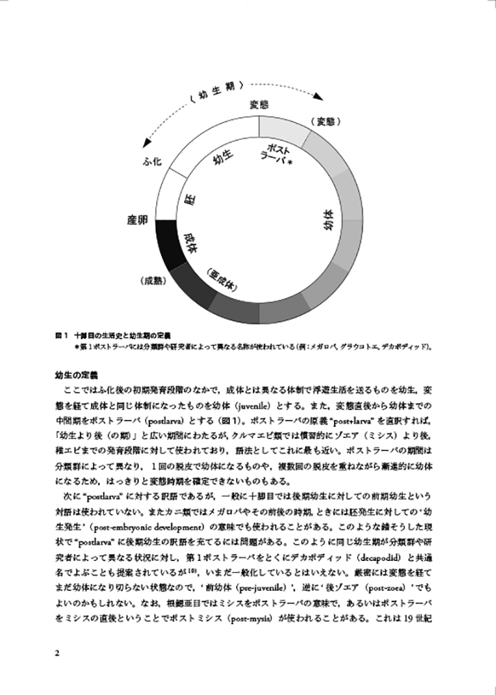 サムネイル画像5