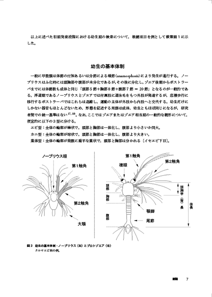 サムネイル画像7
