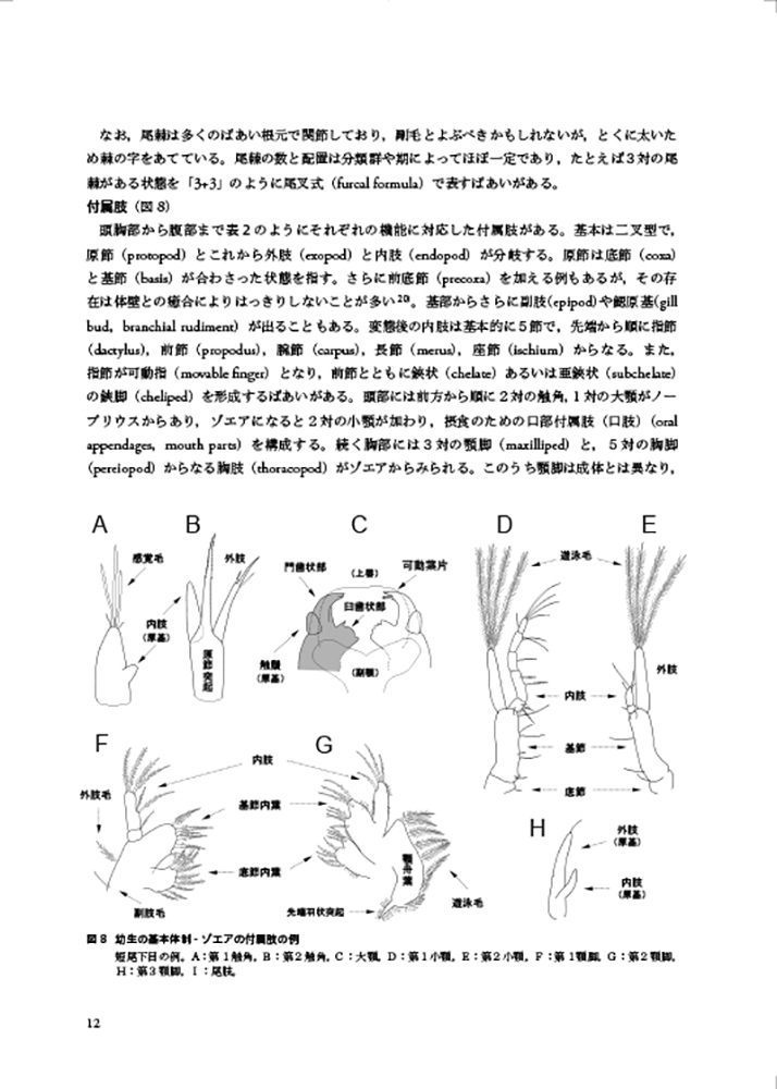 サムネイル画像8