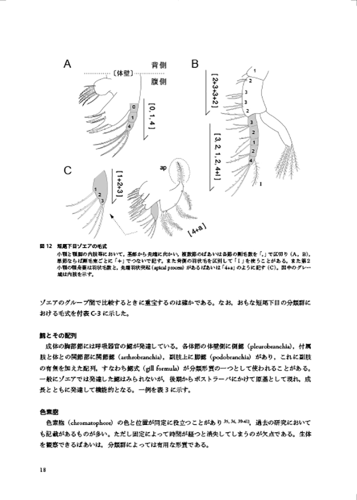 サムネイル画像9