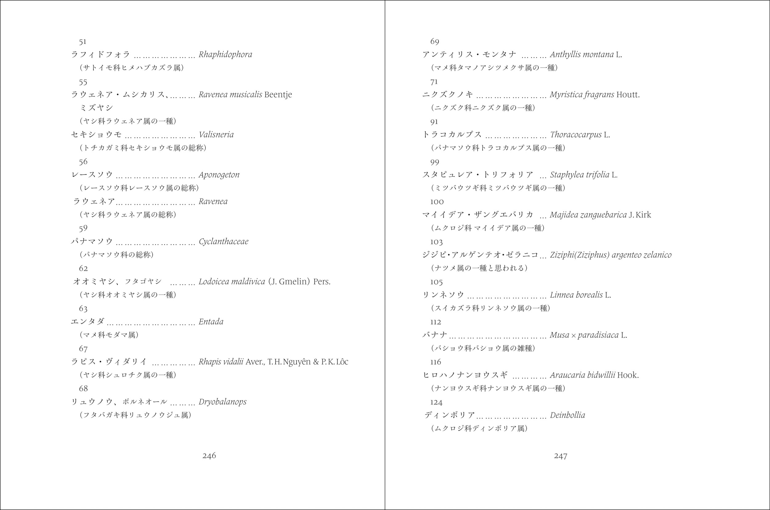 サムネイル画像4