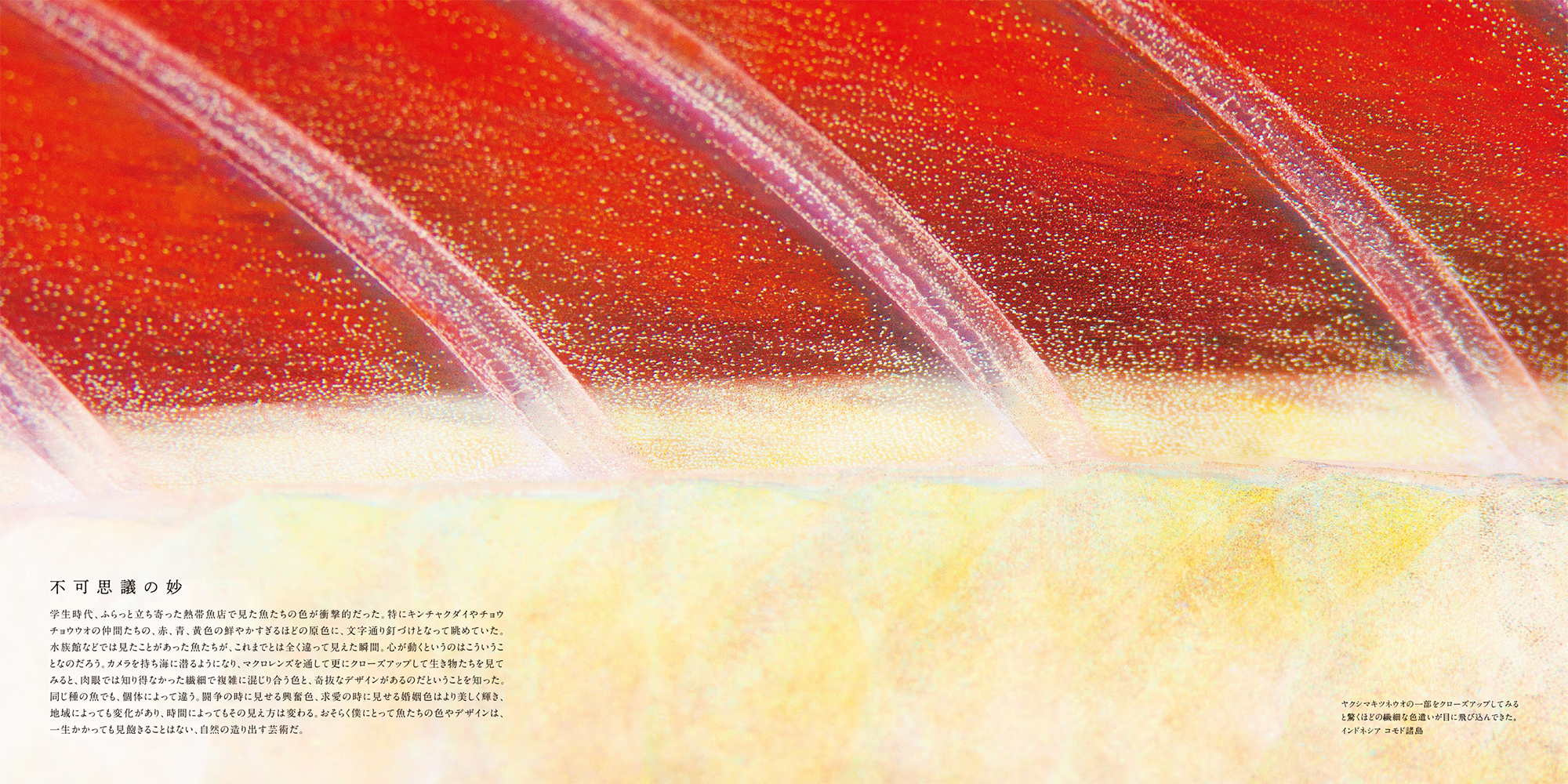 サムネイル画像4
