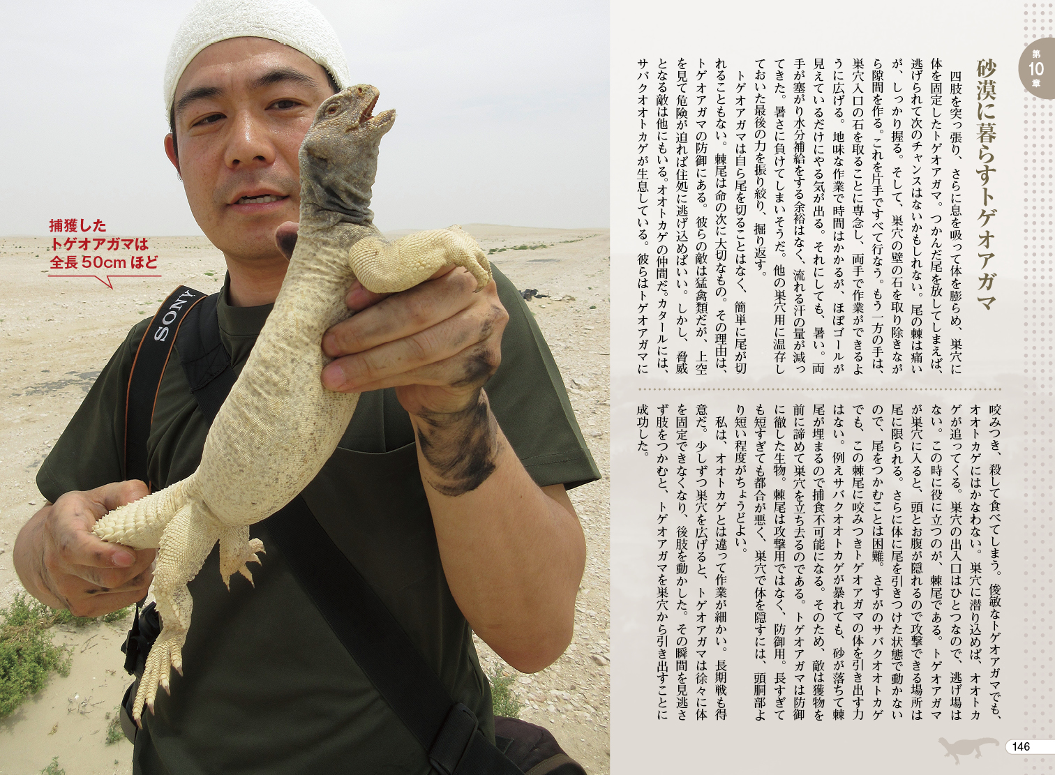 サムネイル画像2