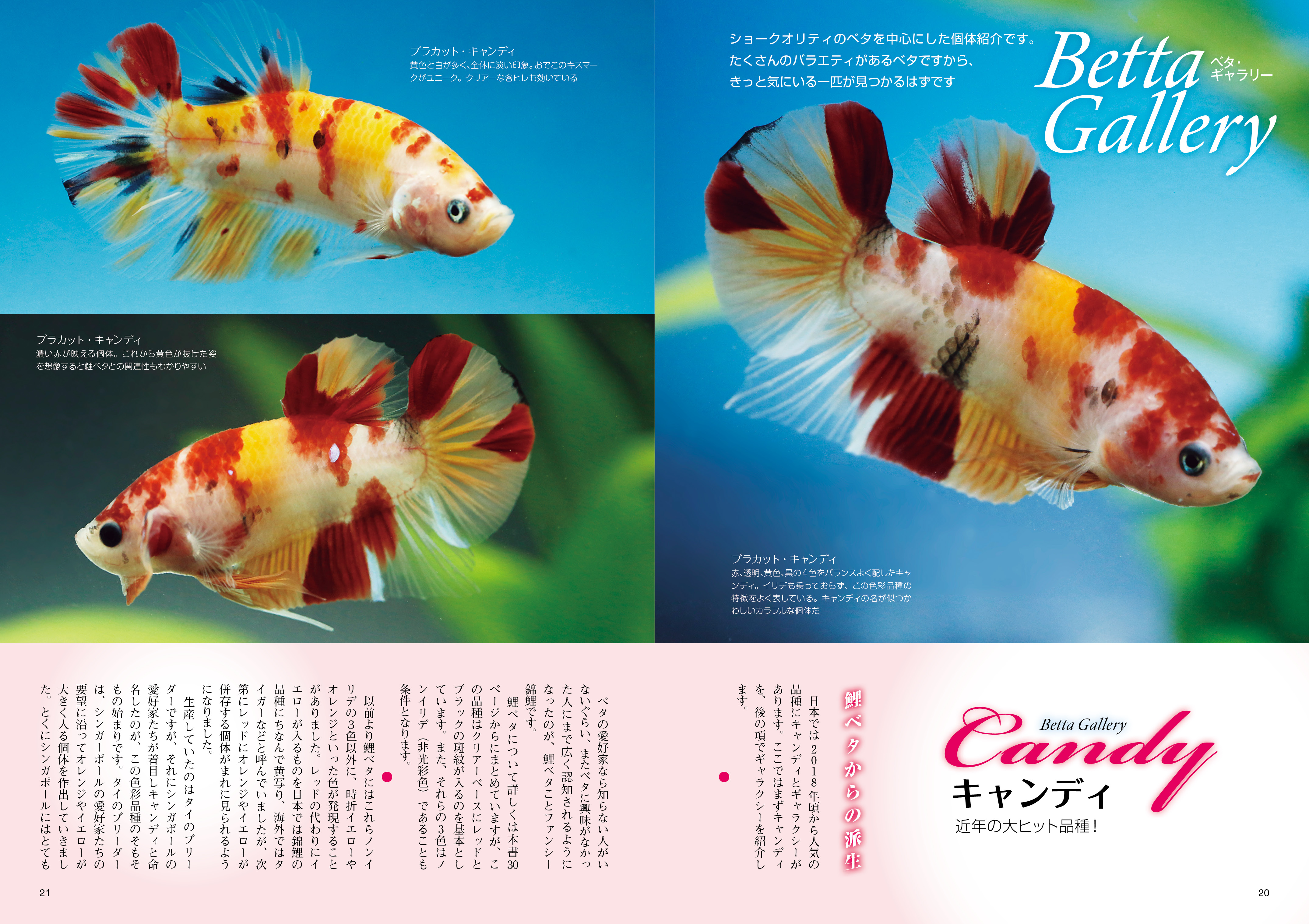 サムネイル画像2