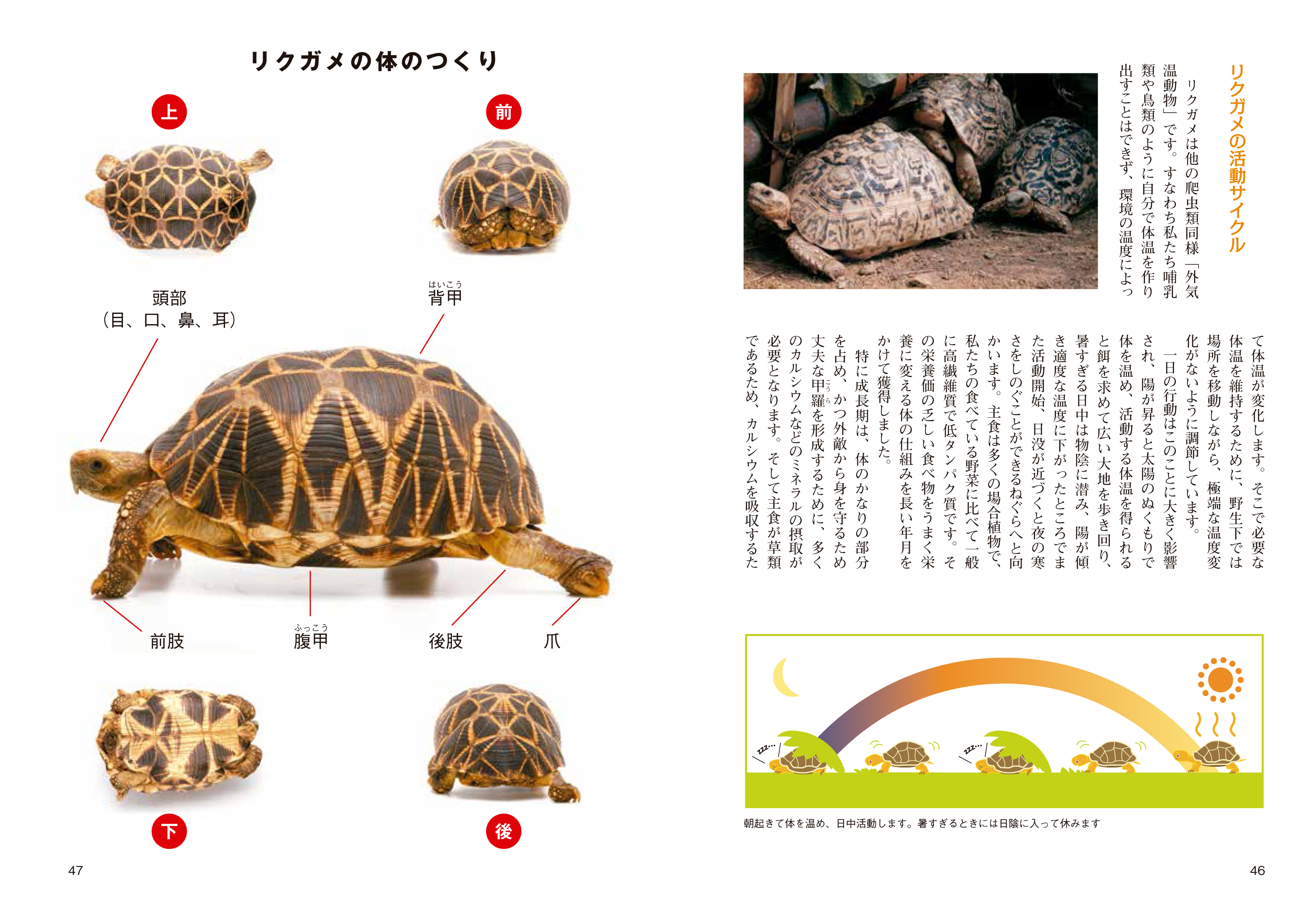 サムネイル画像2