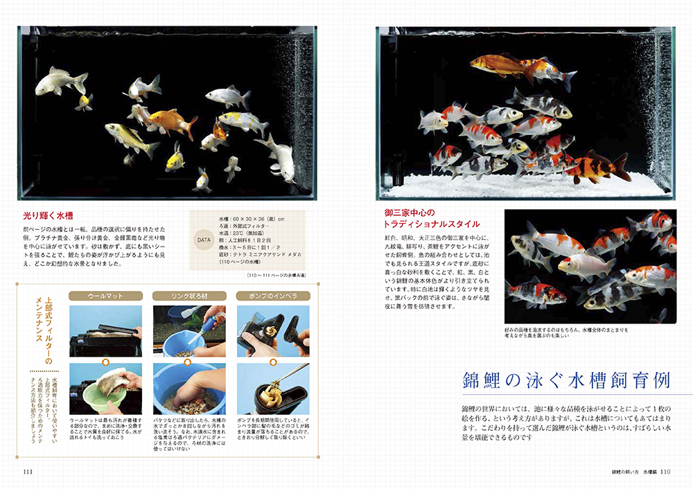 サムネイル画像5