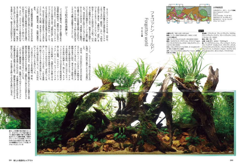 サムネイル画像5