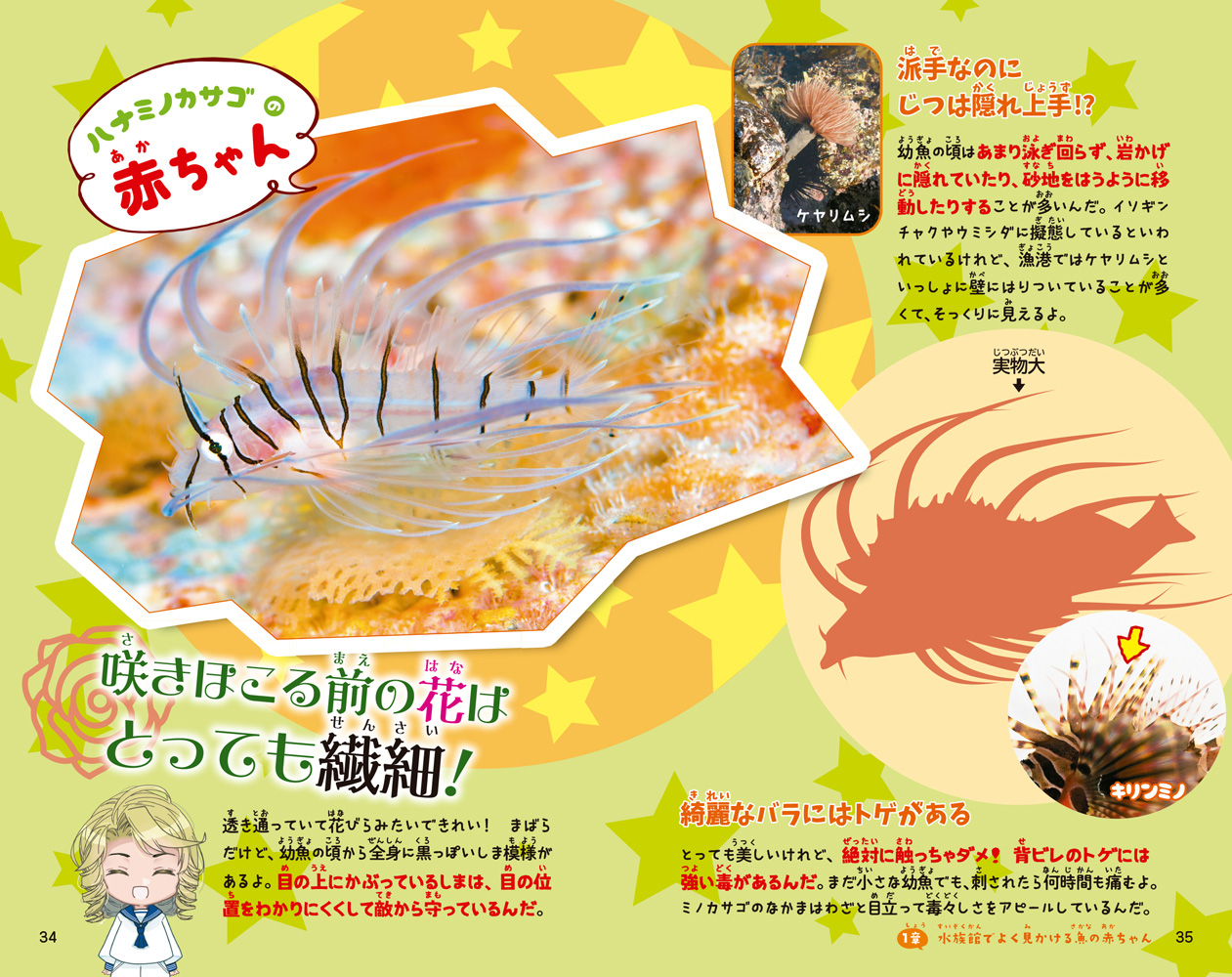 サムネイル画像2