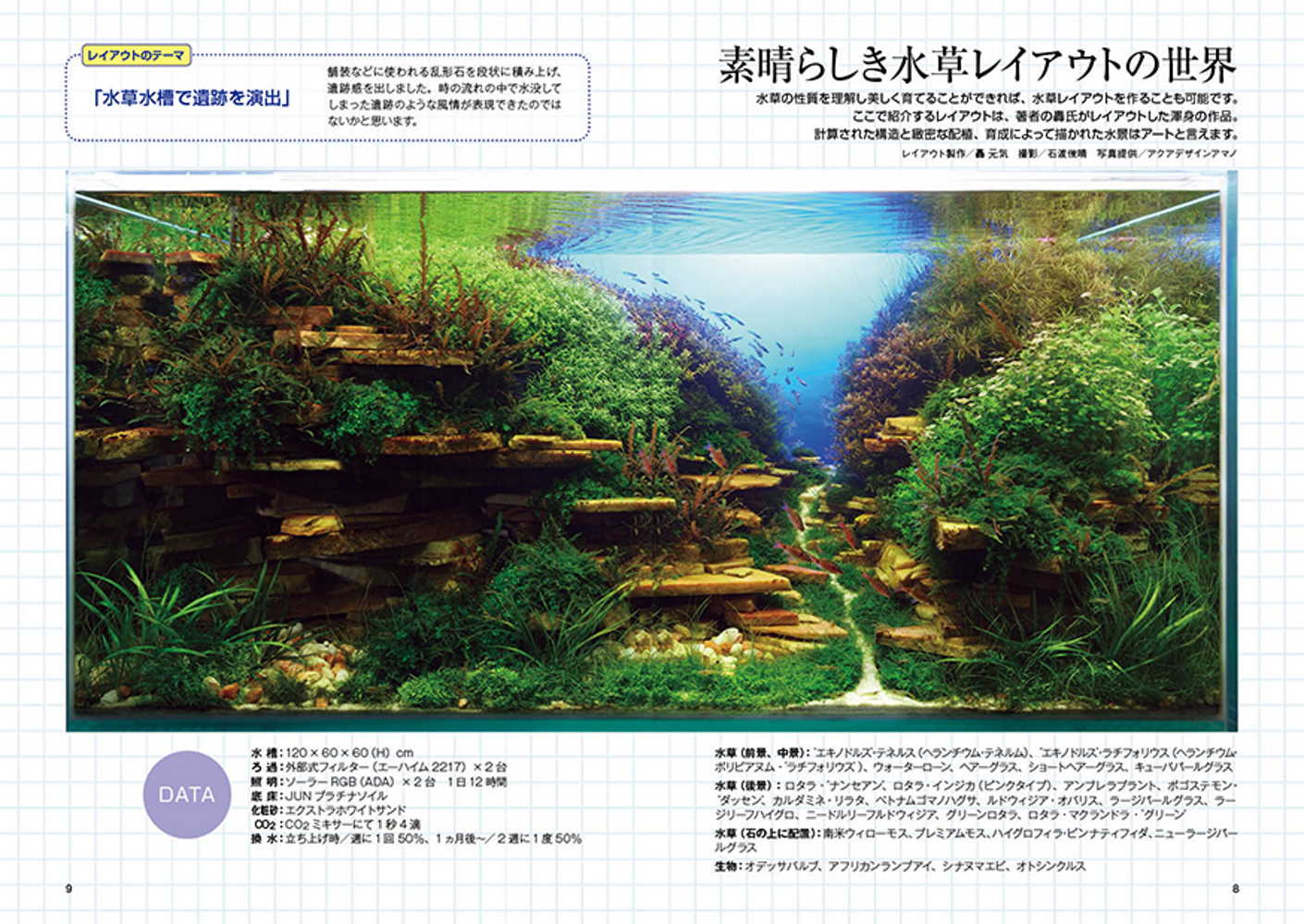 サムネイル画像1